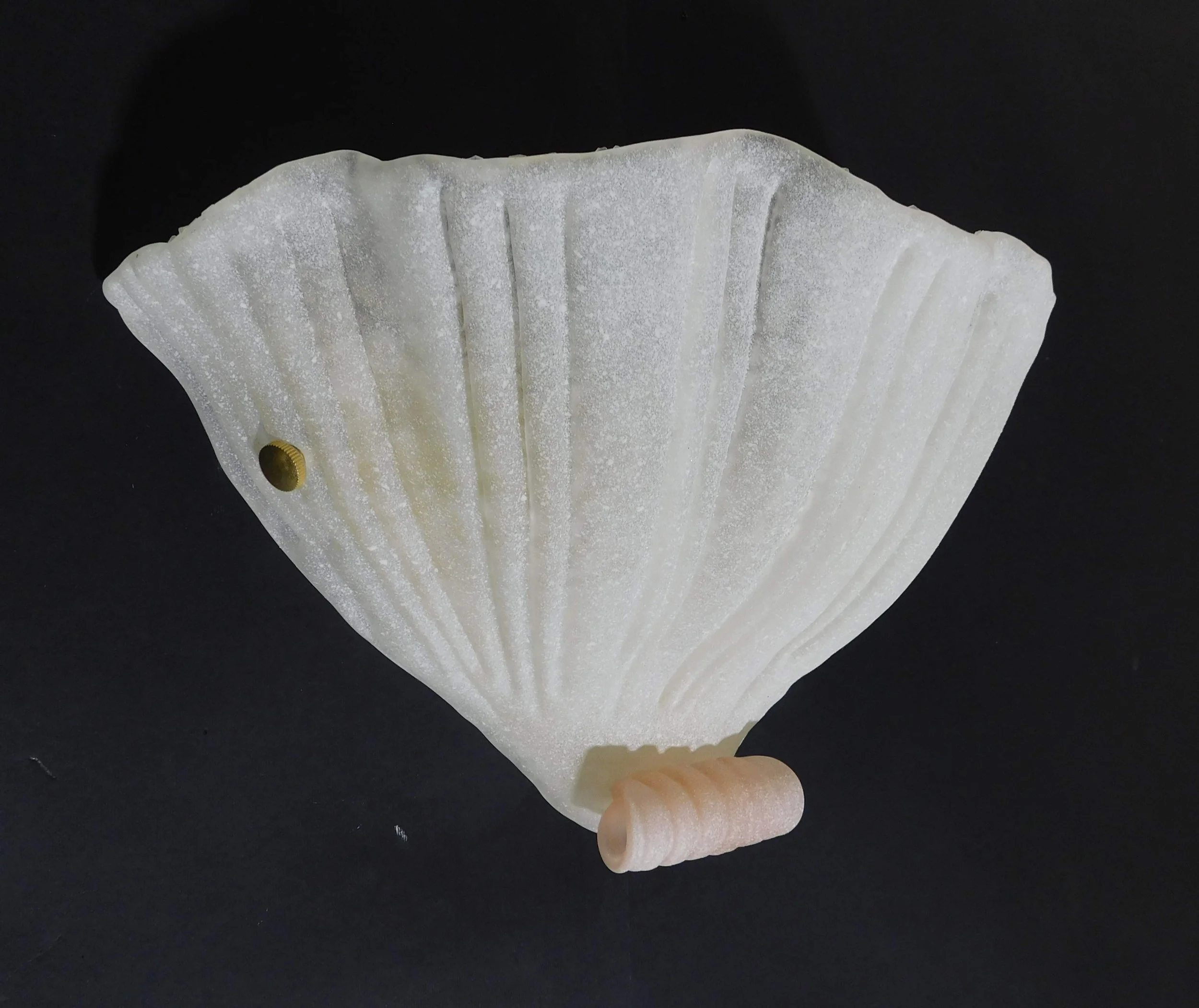 DSCN2938.JPG