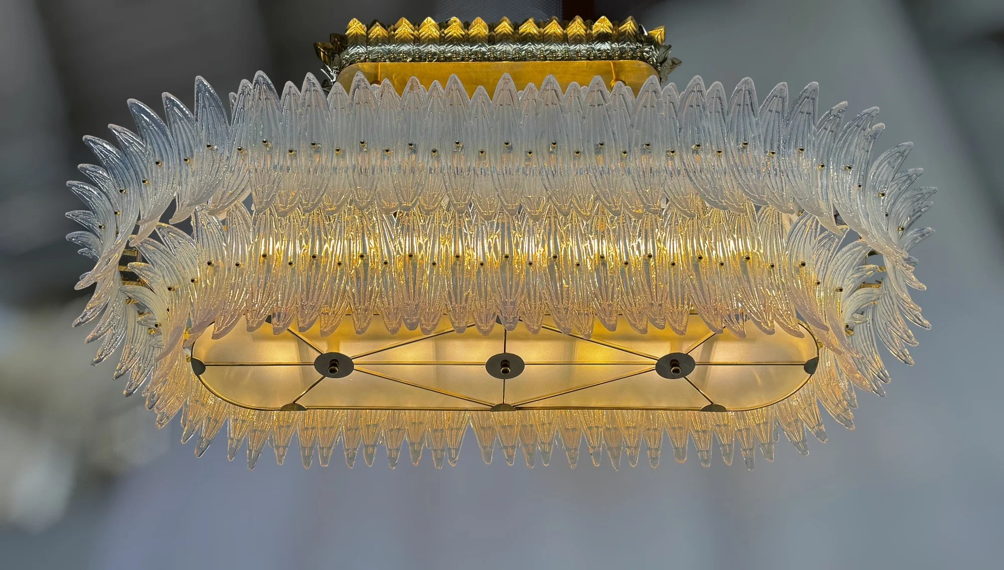 transparent-Photoroom copy.jpg