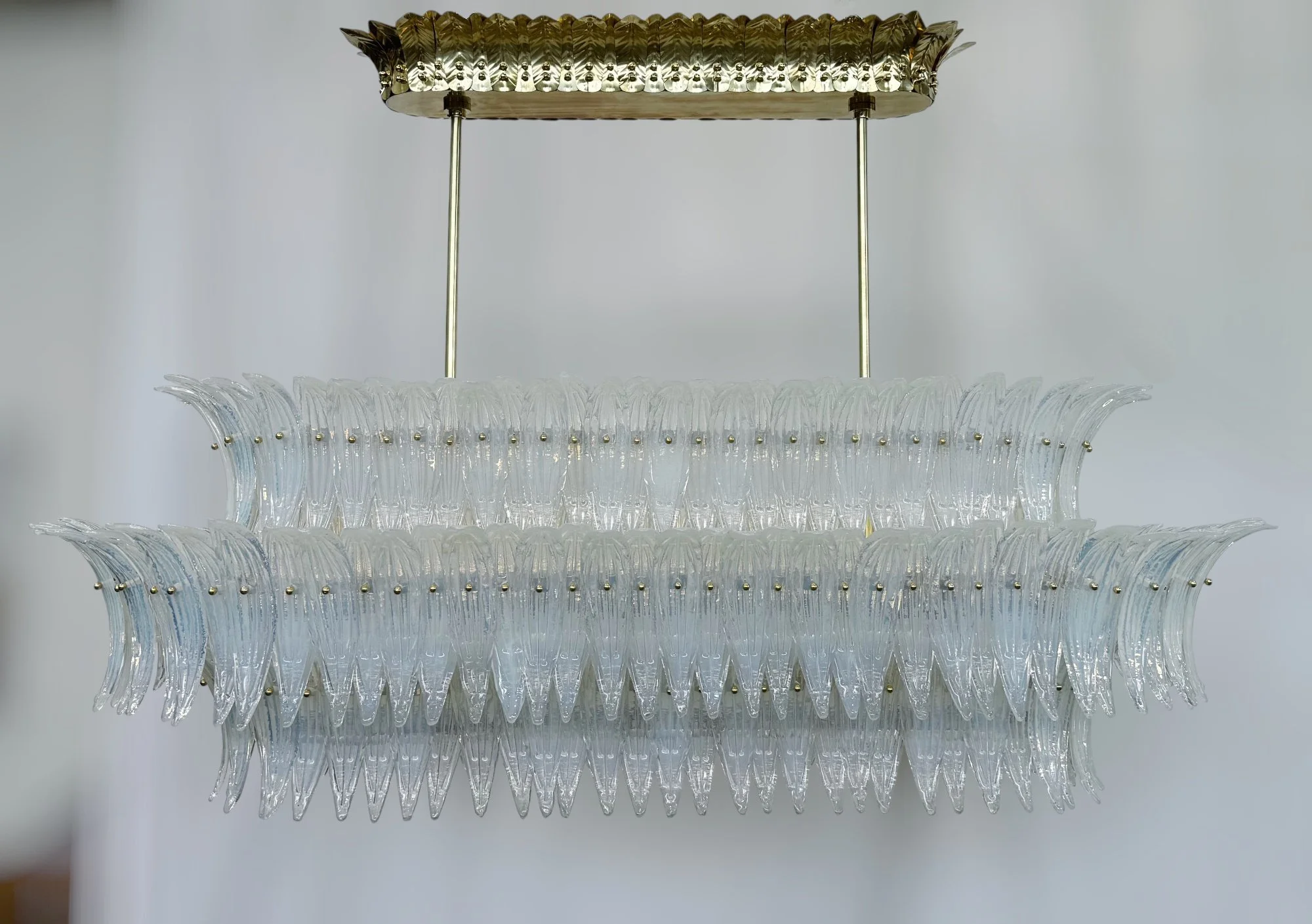 transparent-Photoroom.jpg