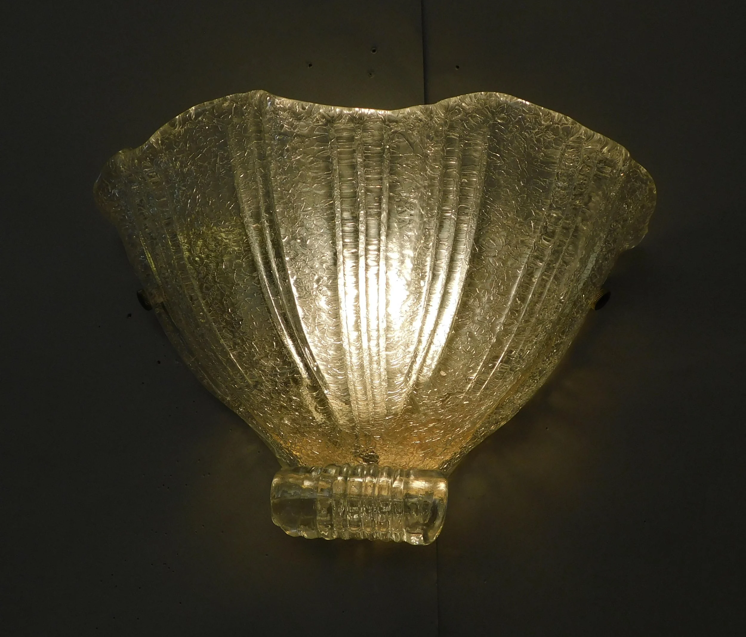 DSCN0130.JPG