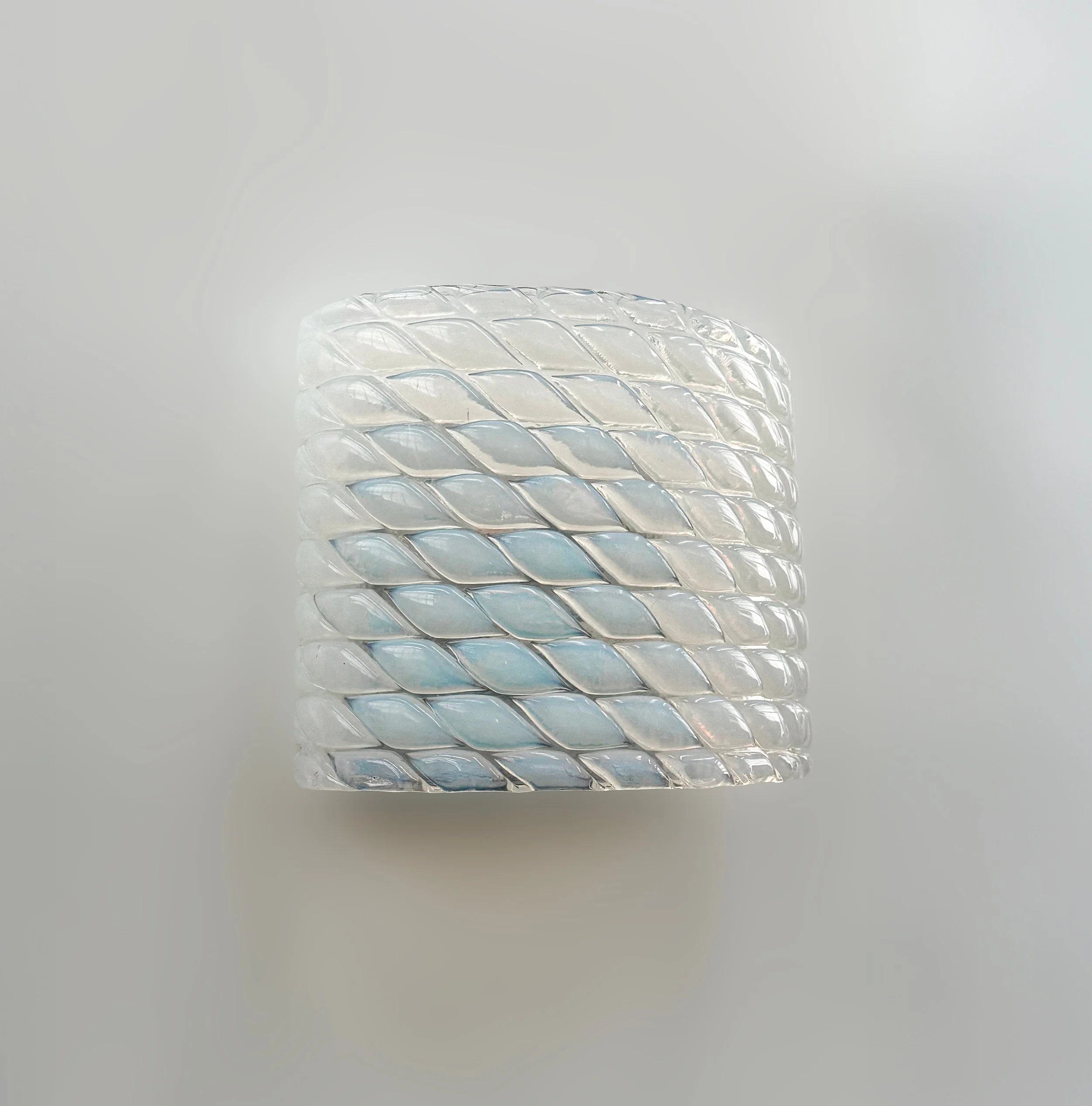 FAscia 1 AP_ IMG_9501.jpg