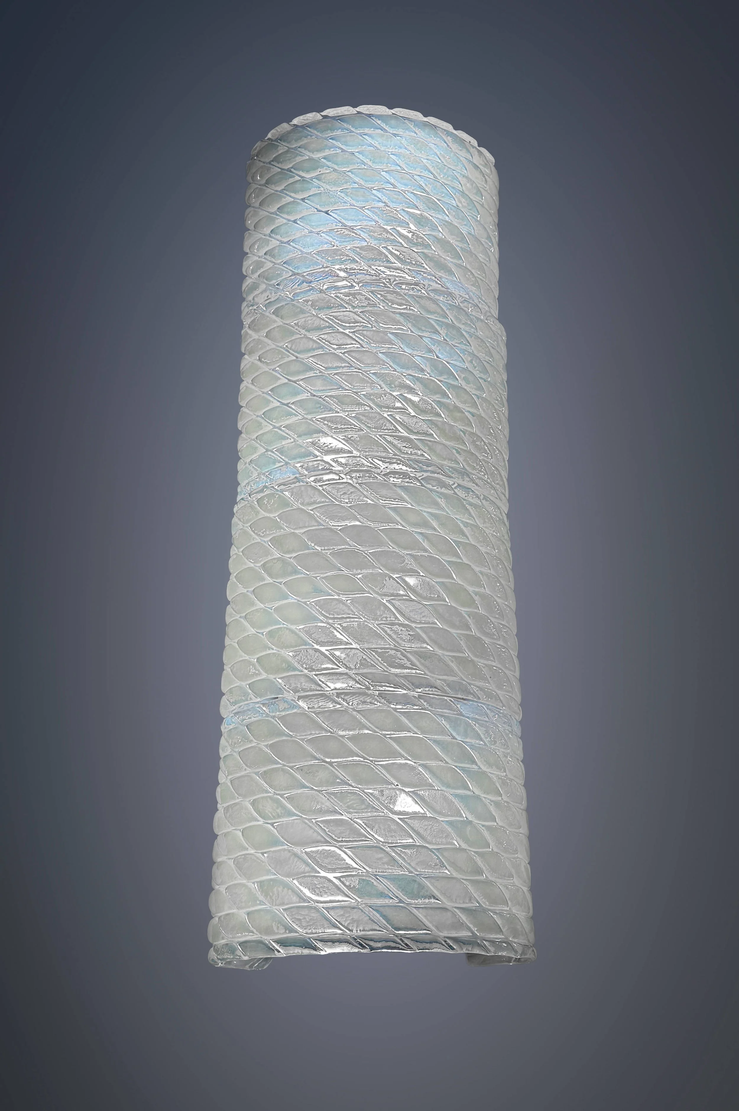 Fascia 4 AP_IMG_9507.jpg