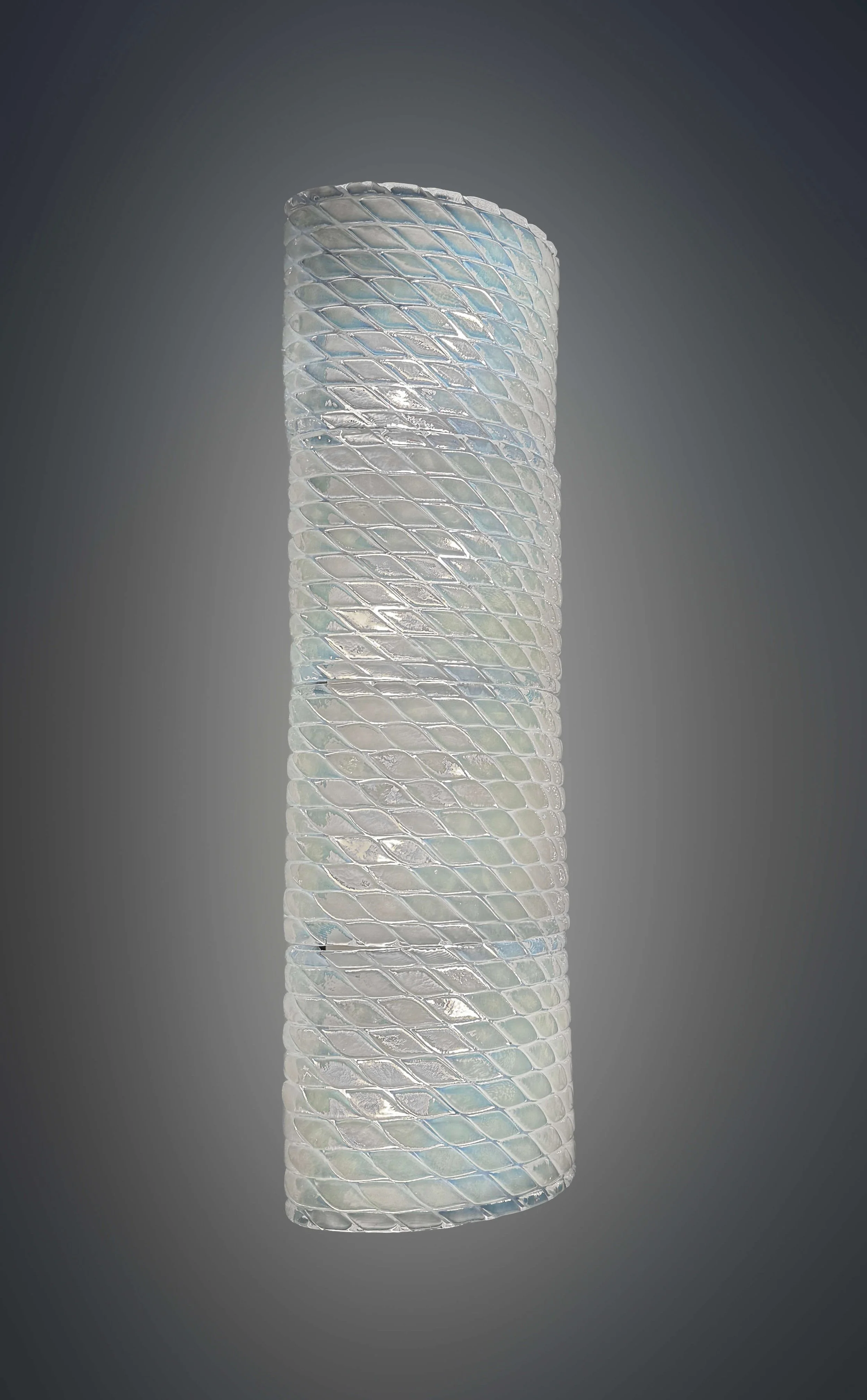 FAscia 4 AP_IMG_9505.jpg