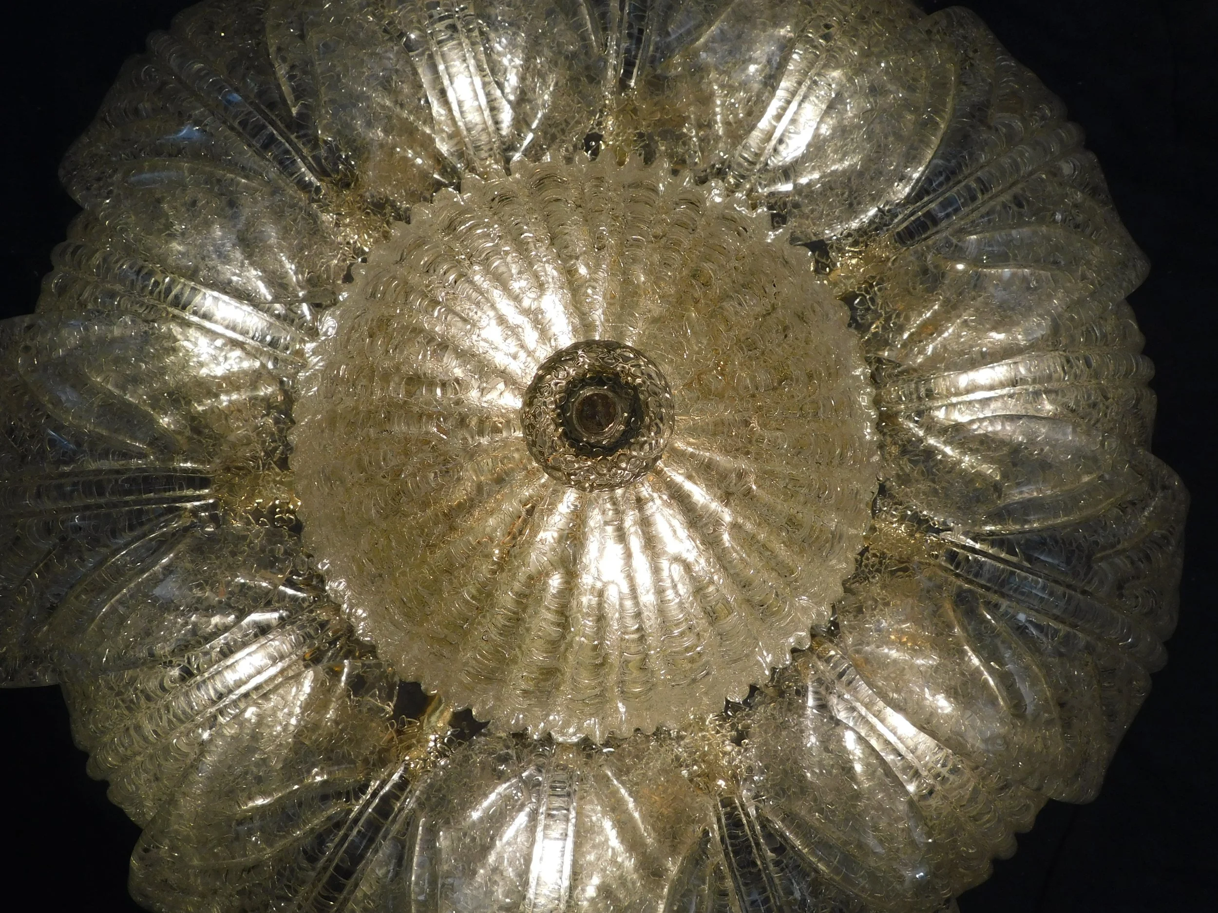 DSCN3101.JPG