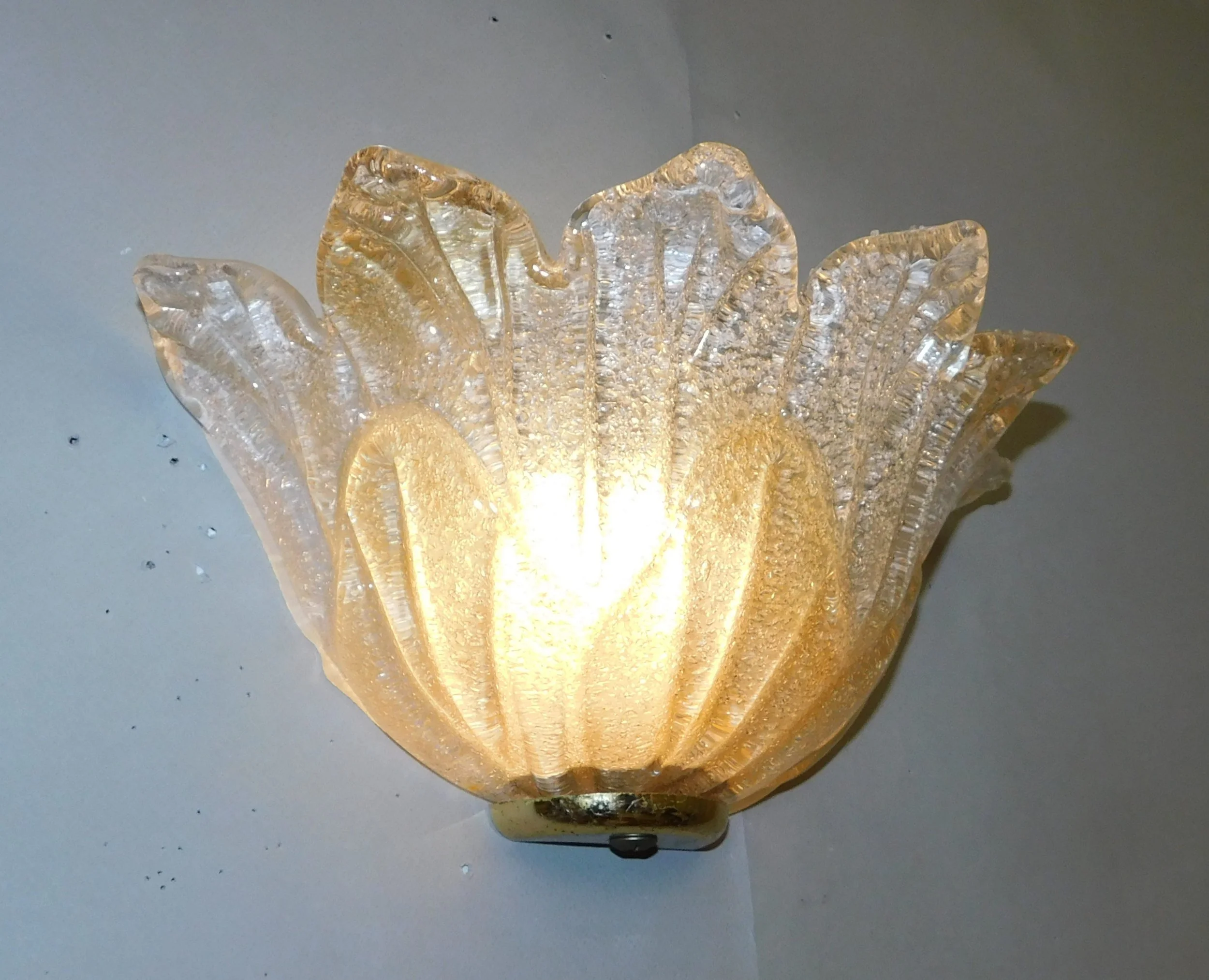 DSCN0164.JPG