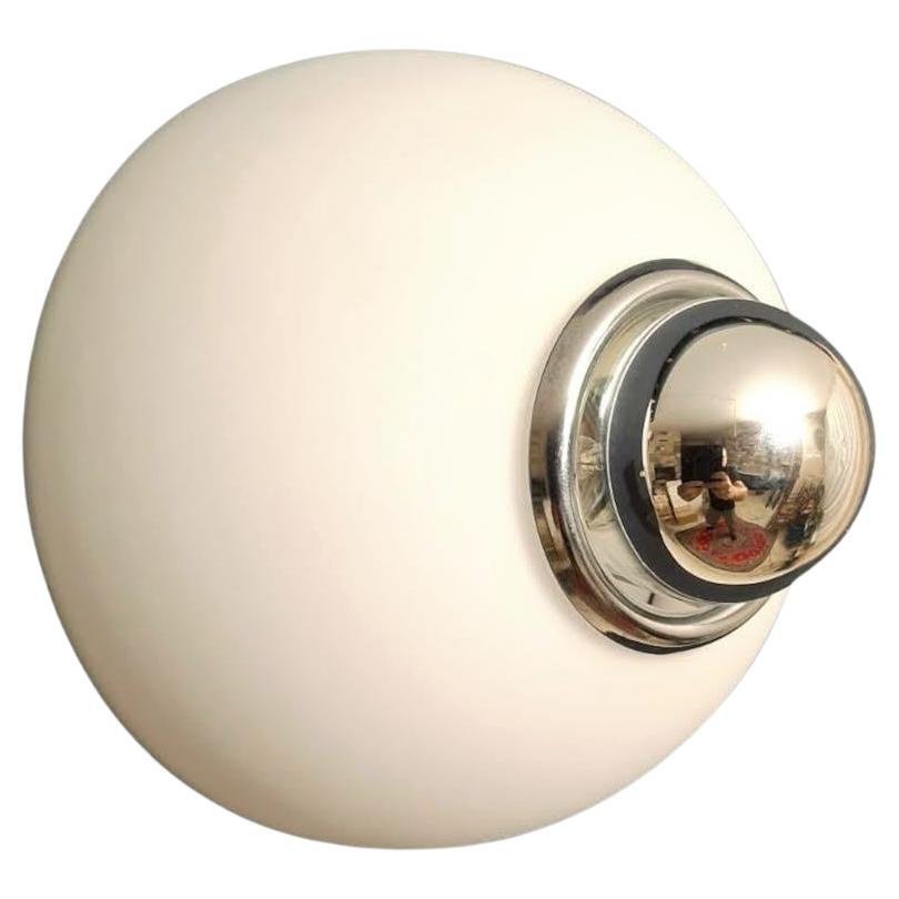 k131 white.jpg