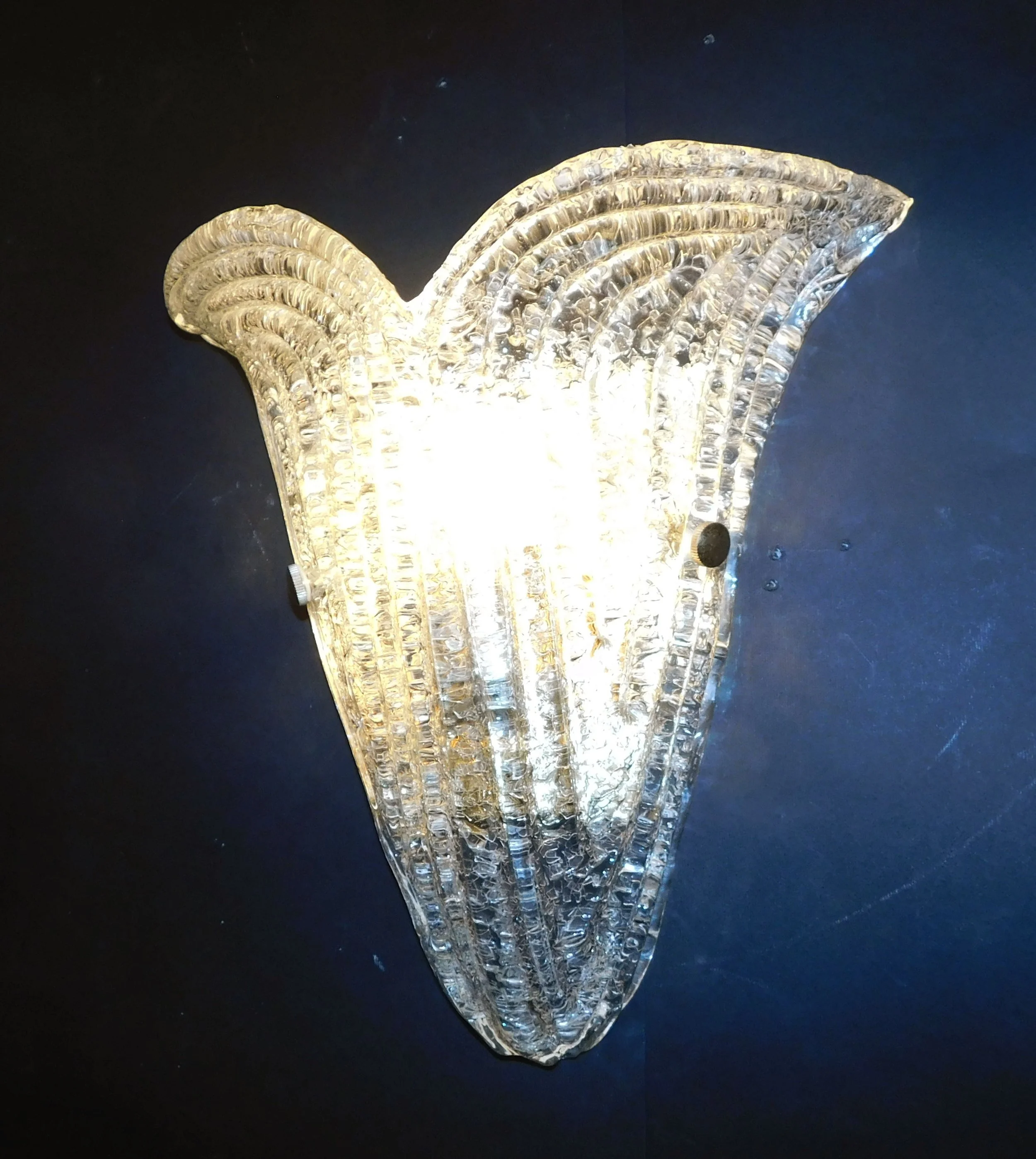 DSCN3135.JPG
