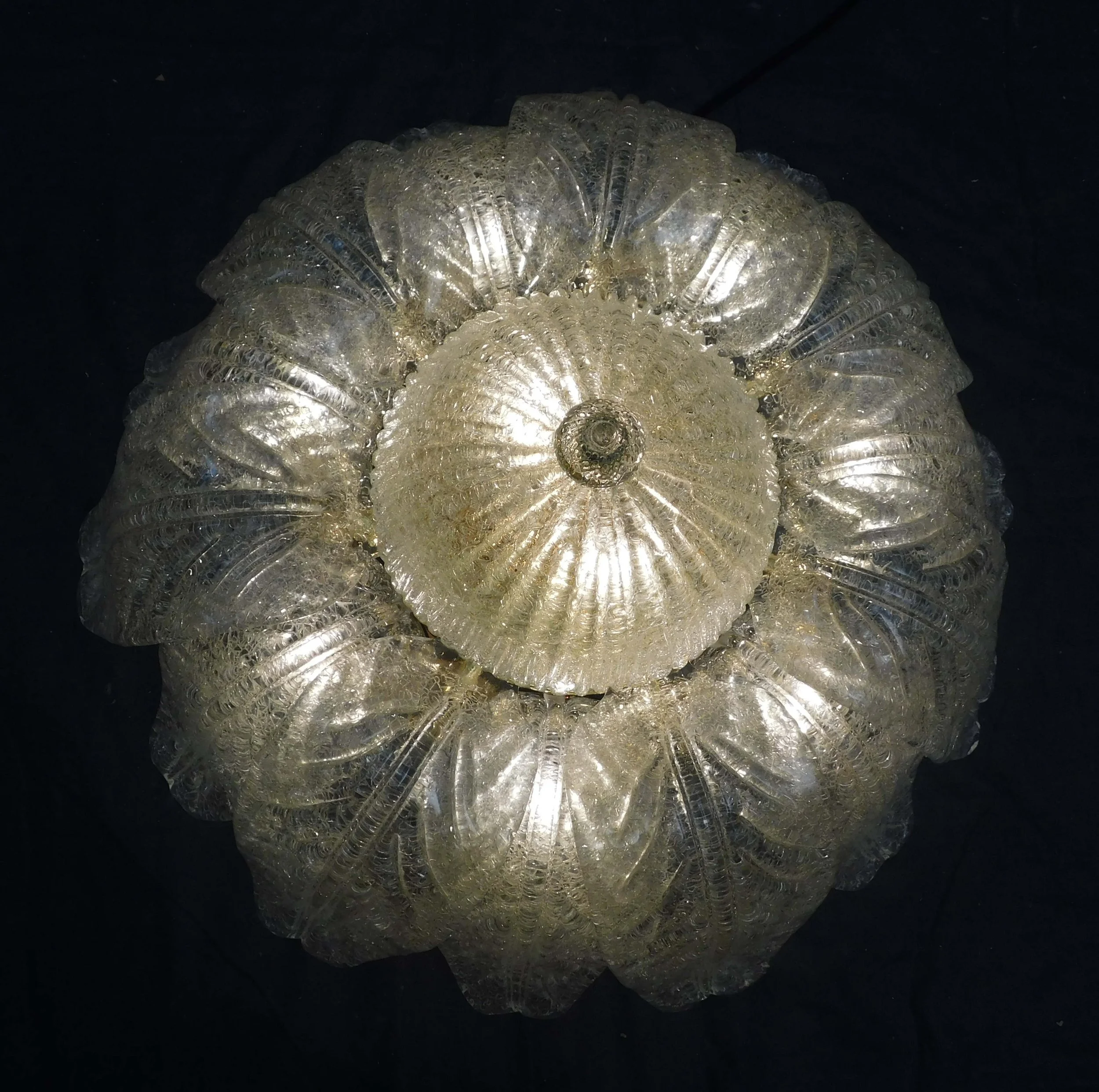 DSCN3100.JPG
