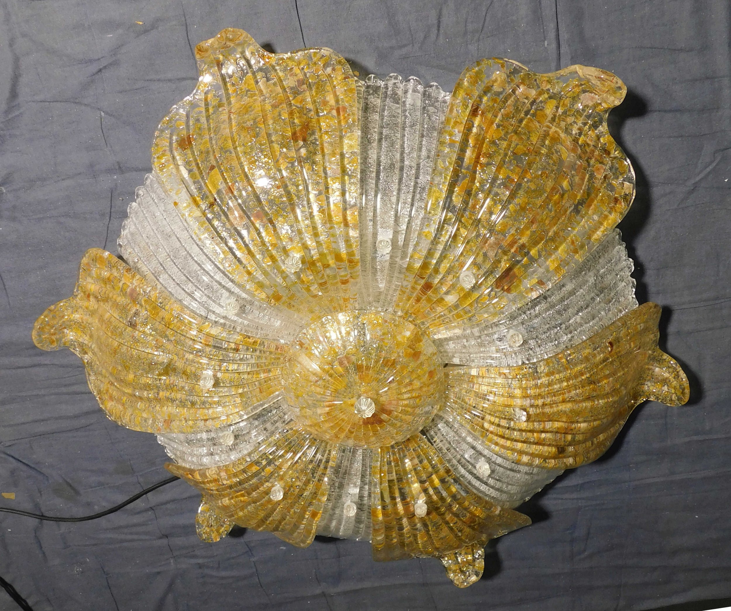 DSCN0110.JPG
