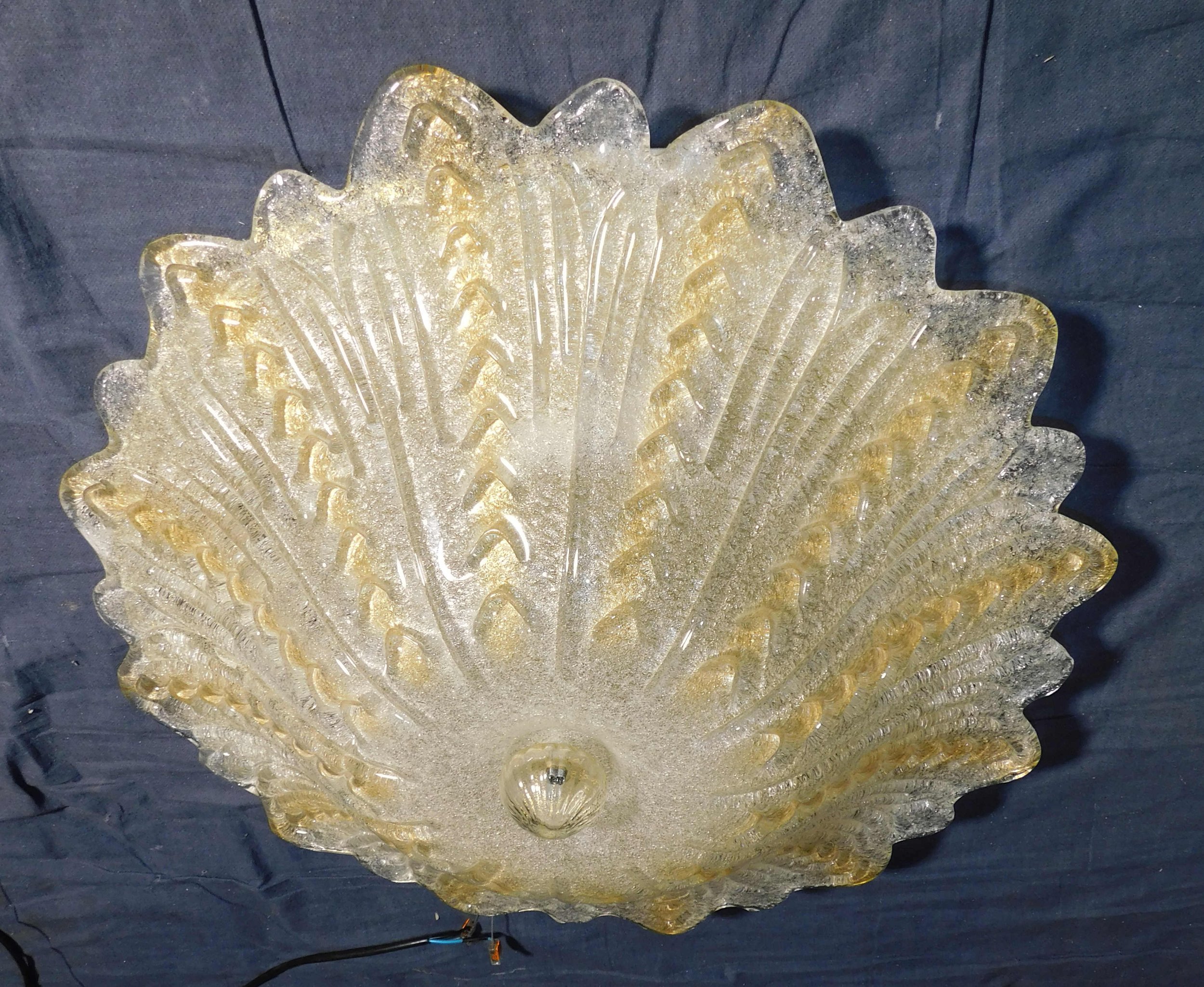 DSCN0096.JPG