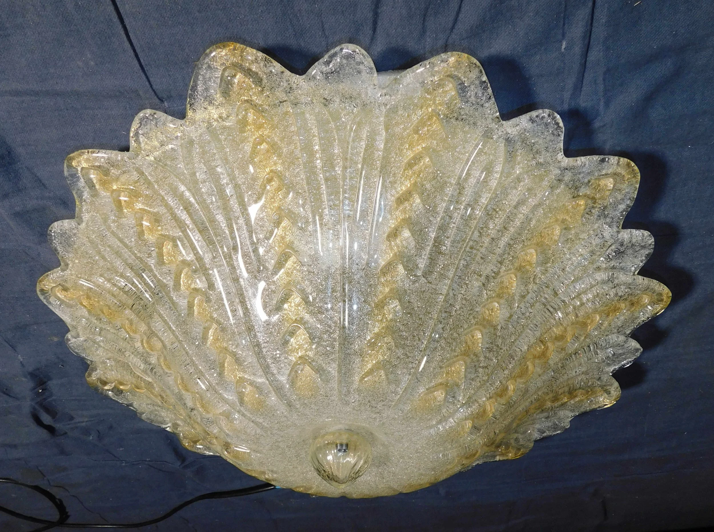 DSCN0098.JPG