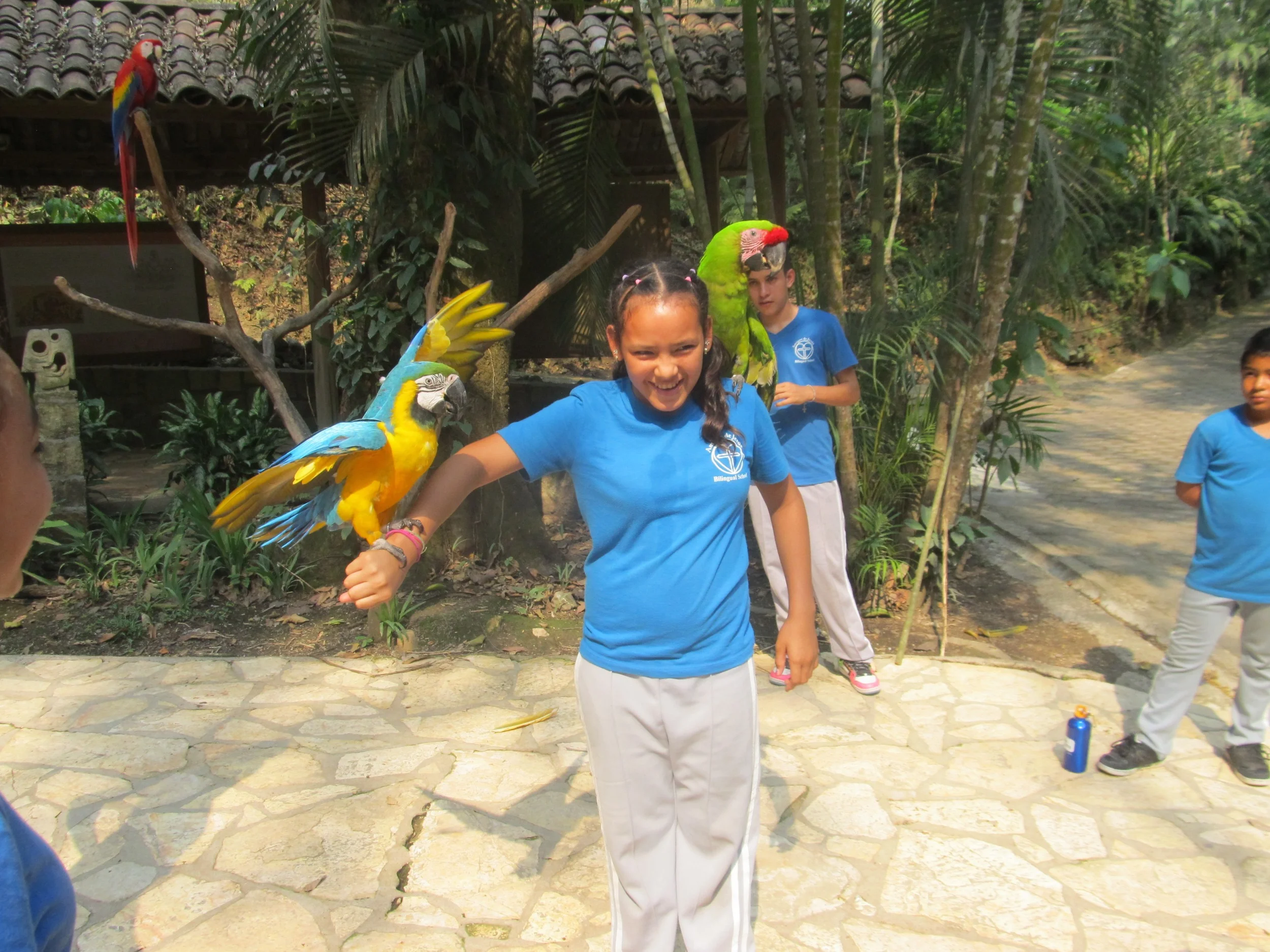 Posing with the Honduran national bird, the 'guacamaya' (macaw), on a school field trip to a bird park in April