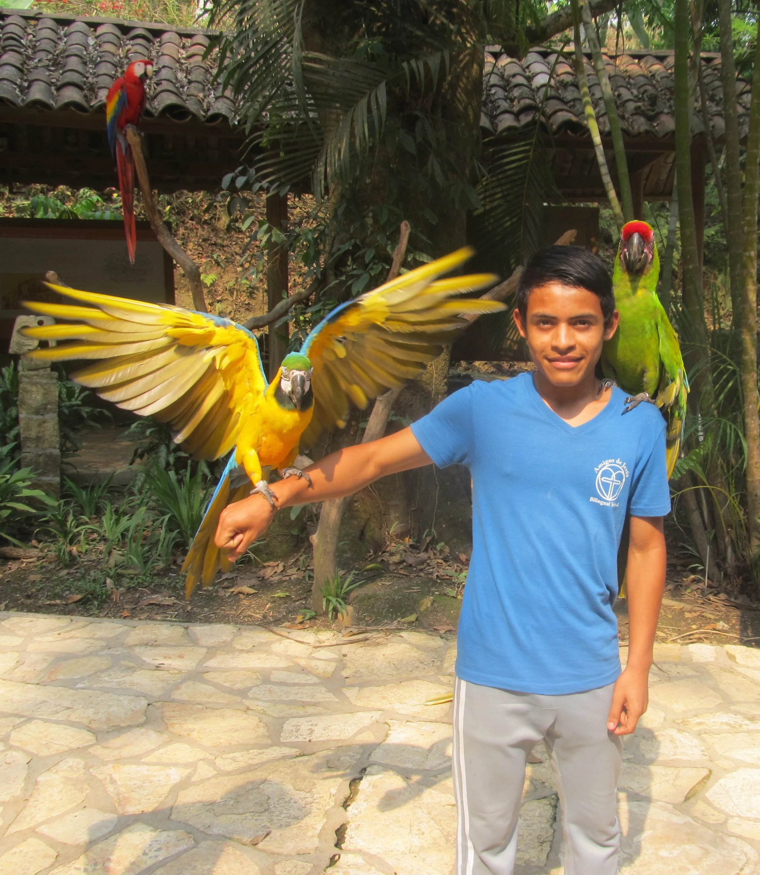 Posing with the national bird of Honduras - the macaw - during a school field trip to Copan Ruinas, Honduras, in April.