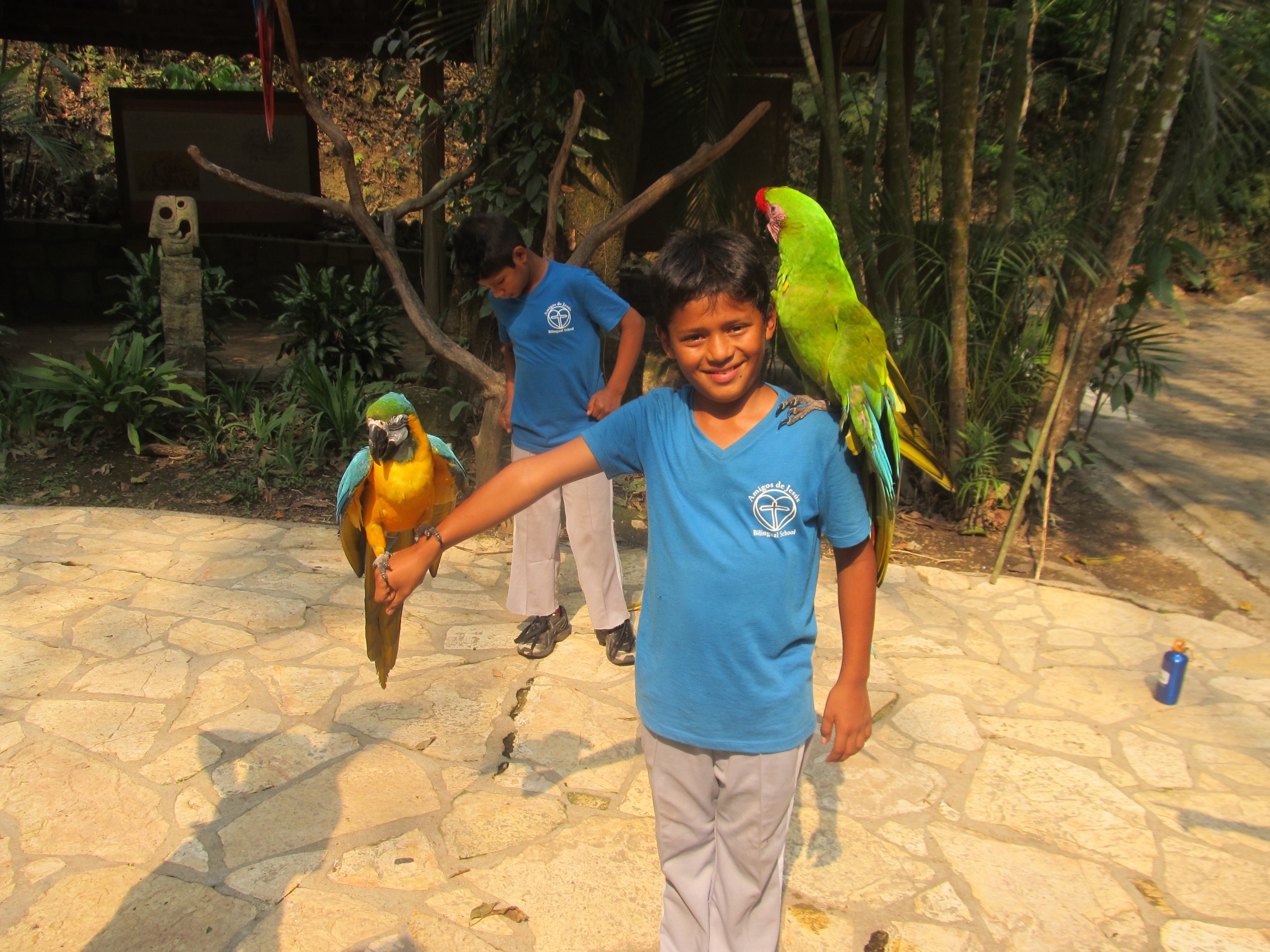 Diego posing with the guacamayas in Copan Ruinas, Honduras, on last year's school field trip.