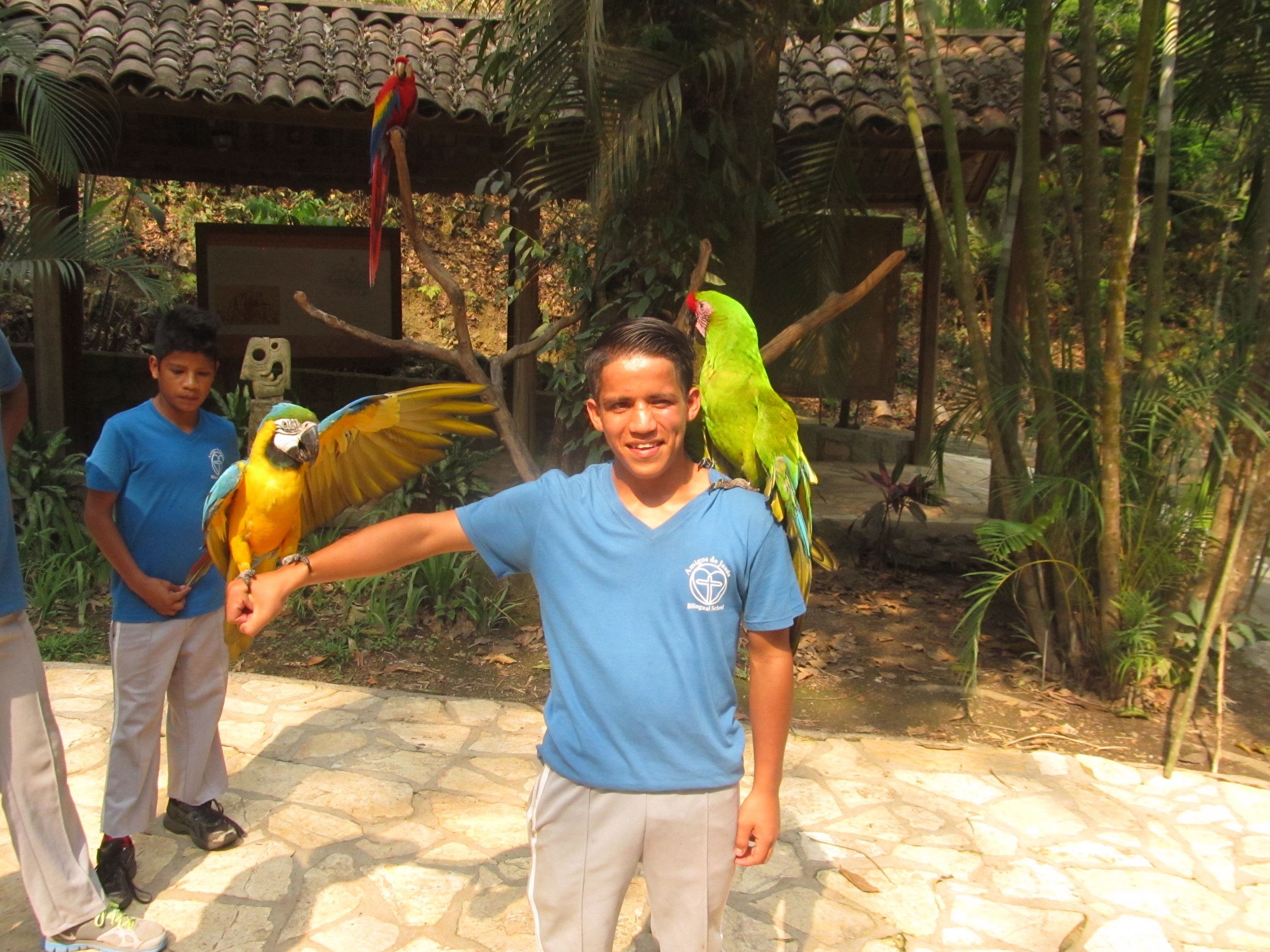 On the school field trip to the bird park in Copan Ruinas, Honduras, in April