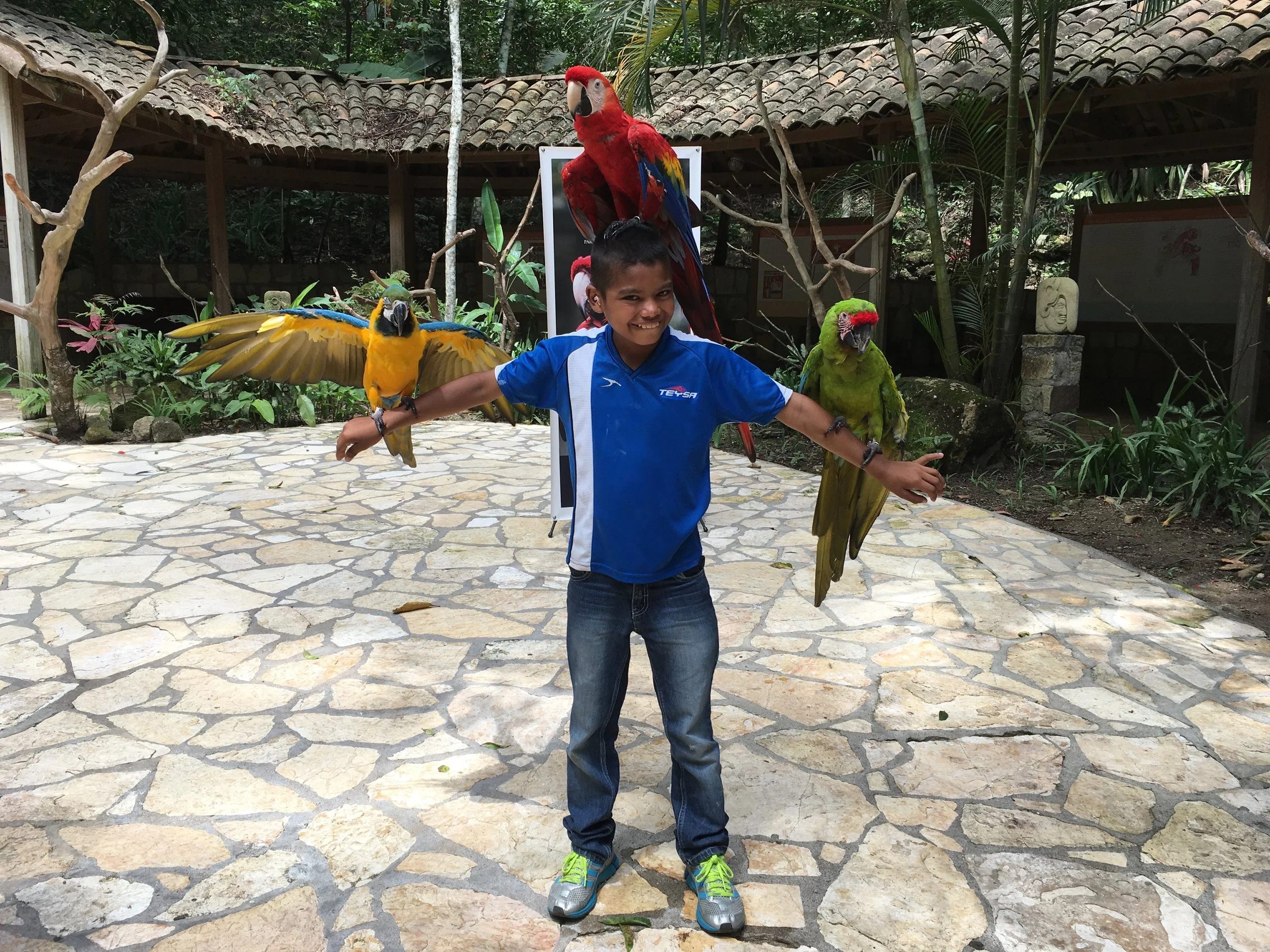 Emanuel visiting the Macaw Mountain Bird Park and Nature Reserve in Copan Ruinas during October vacations last year. 