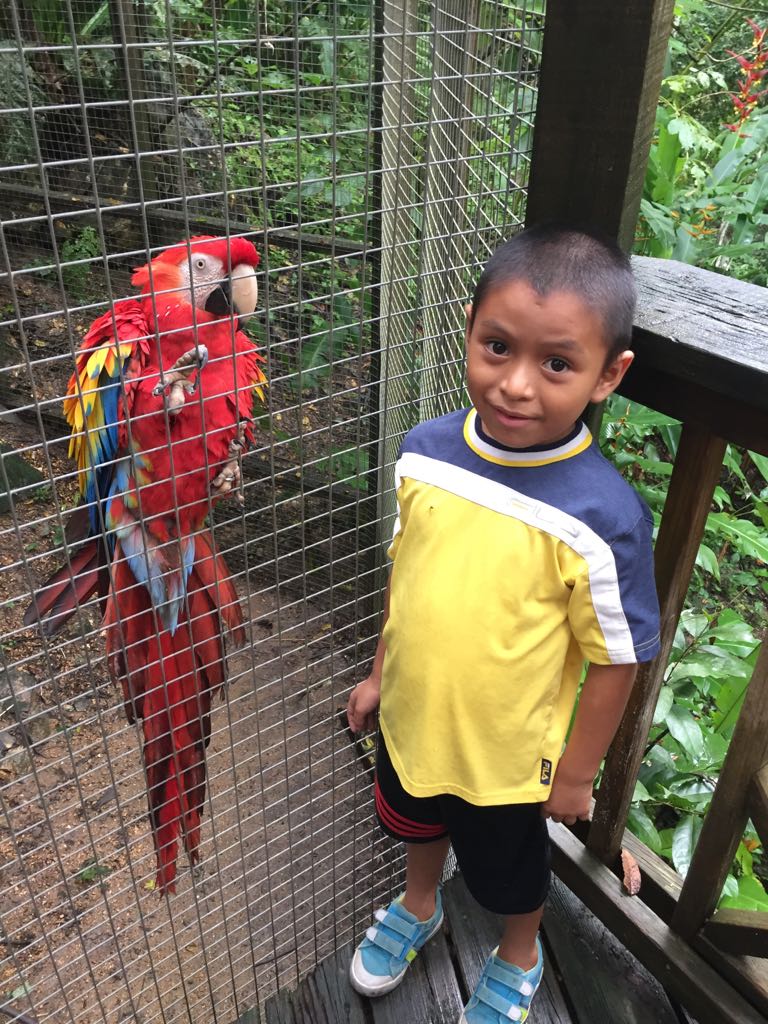 Agustin with the Scarlet Macaw, the National Bird of Honduras.