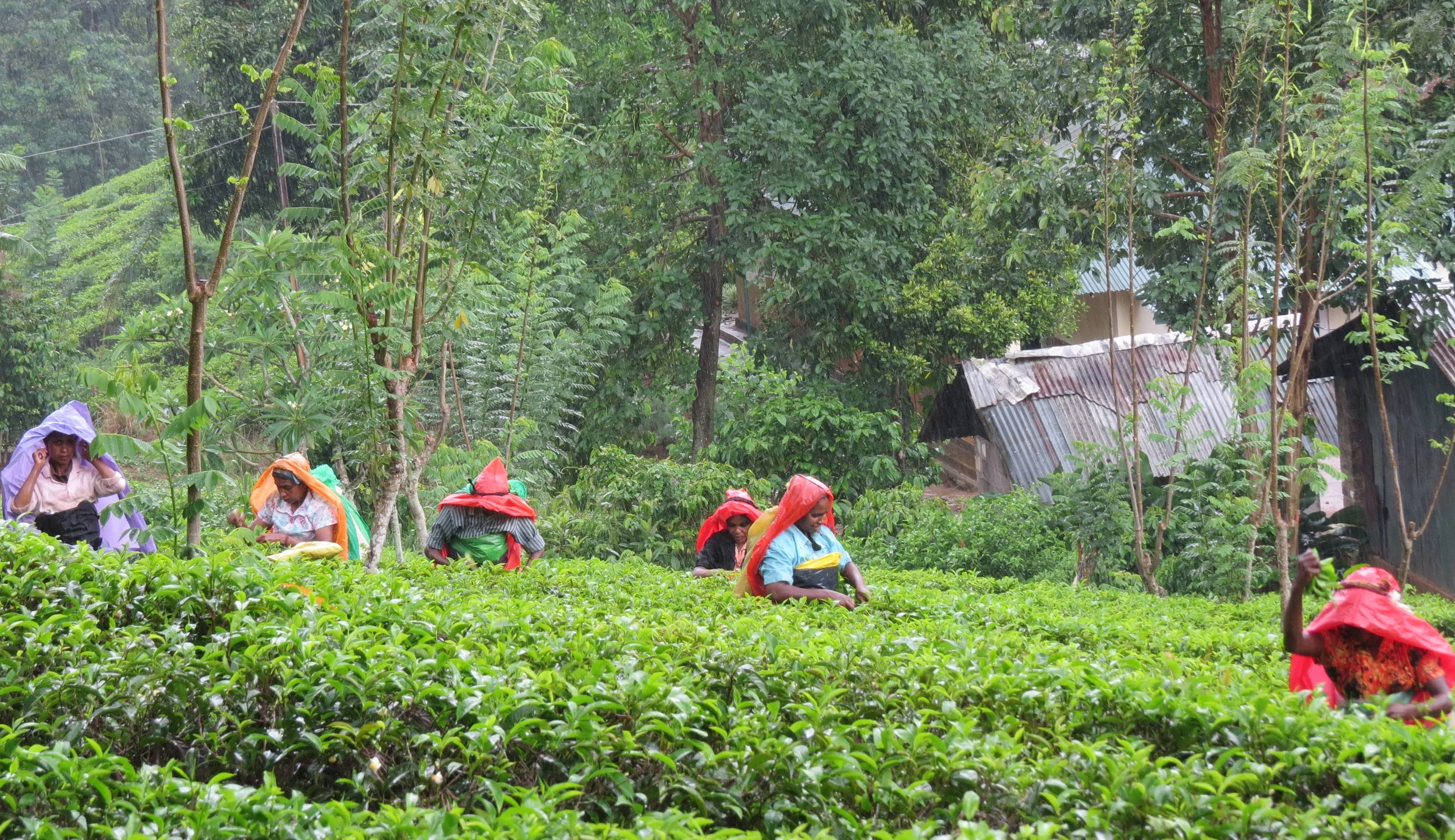 Bespoke alternative.jpeg