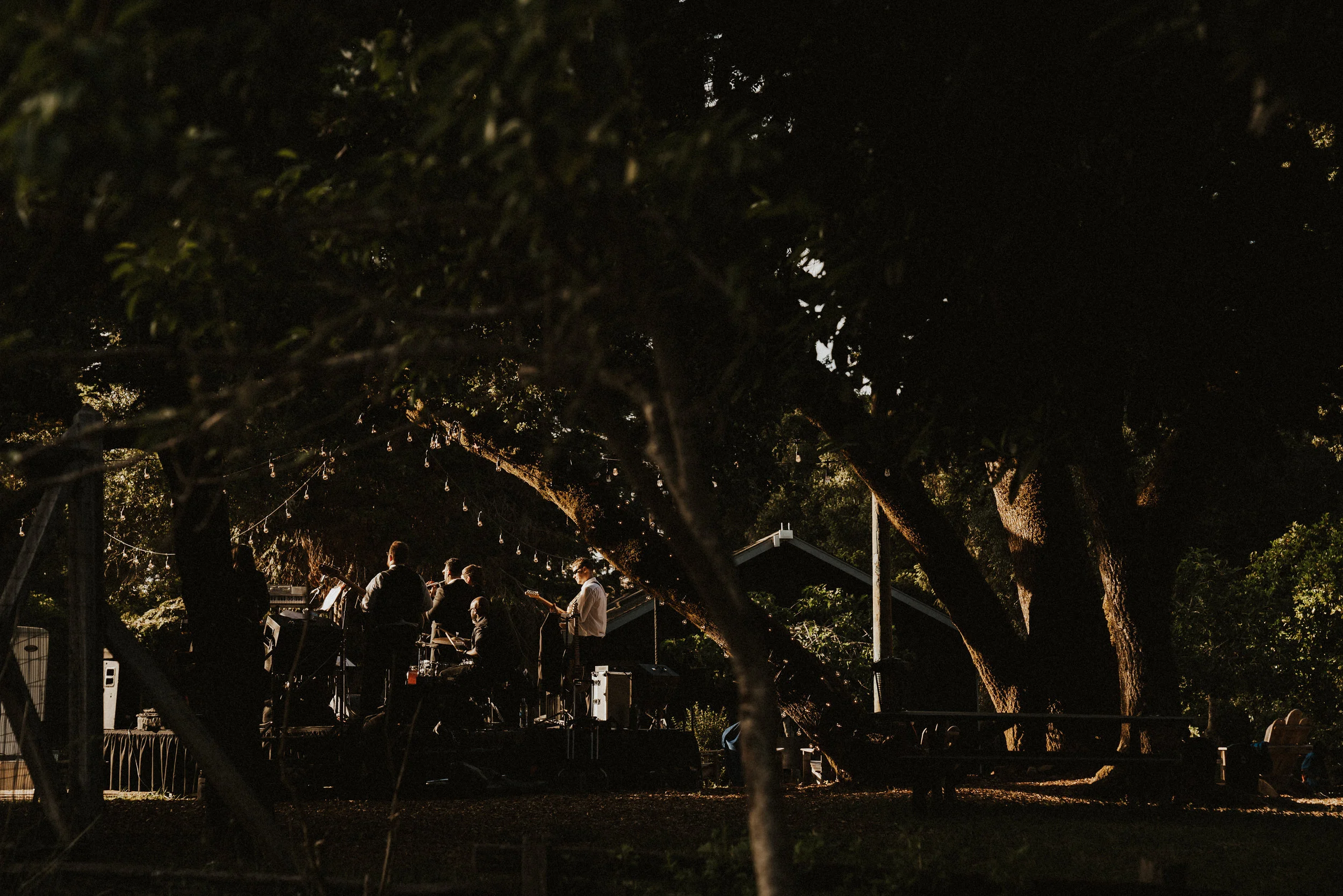 mendocinowedding-546.jpg