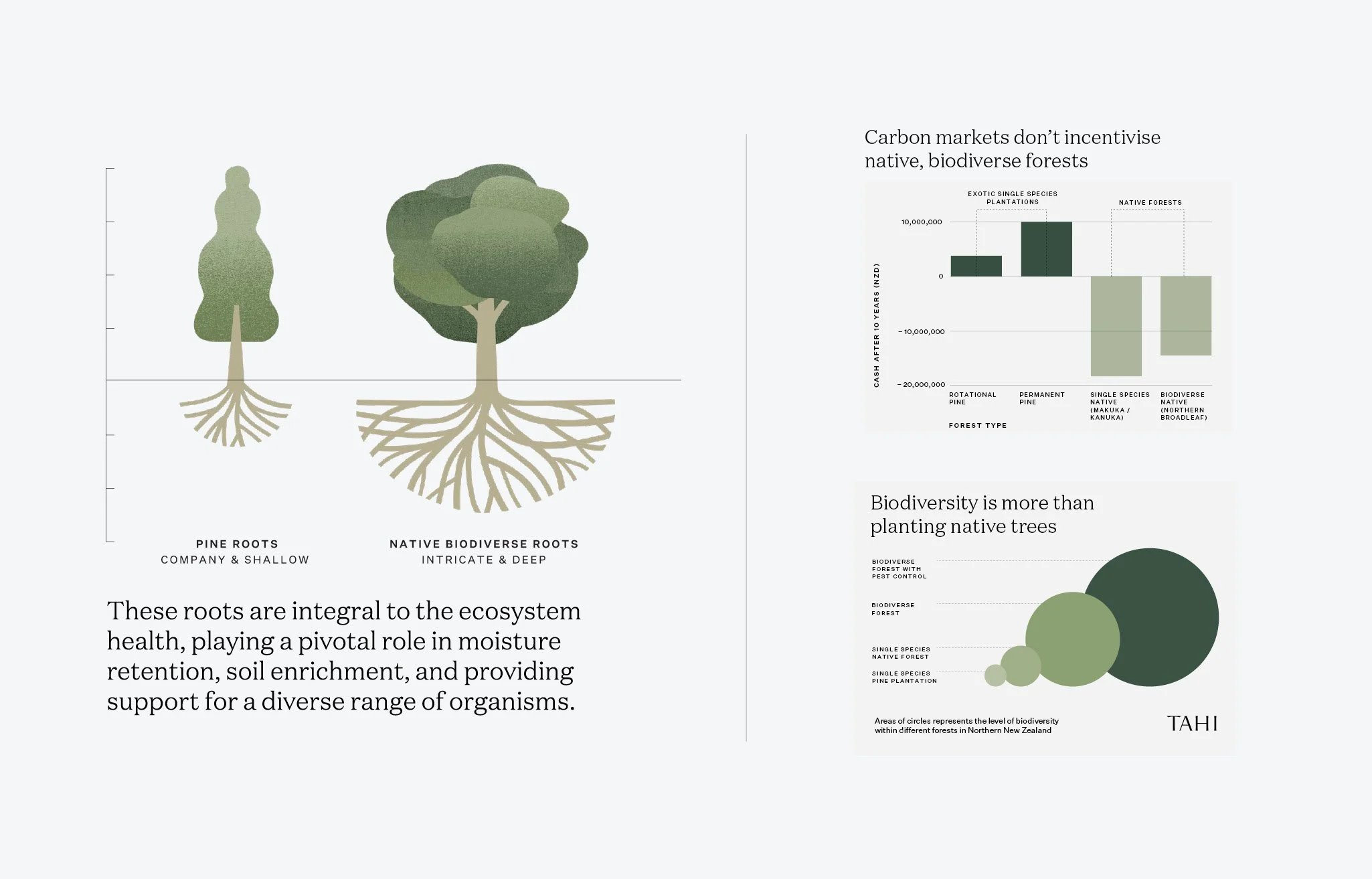 TAHI case study - website3.jpg