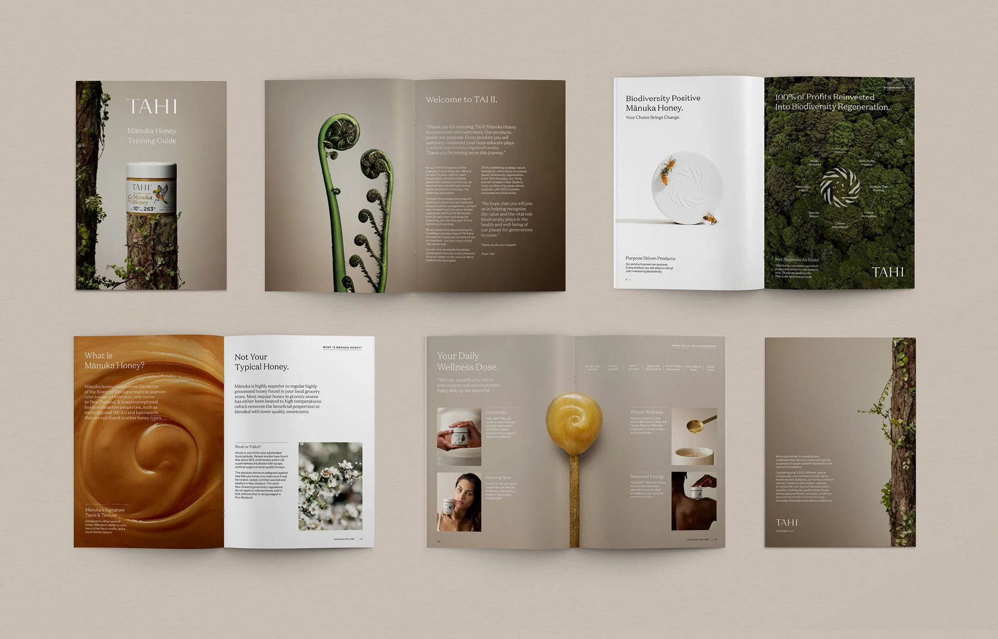 TAHI case study - website2.jpg