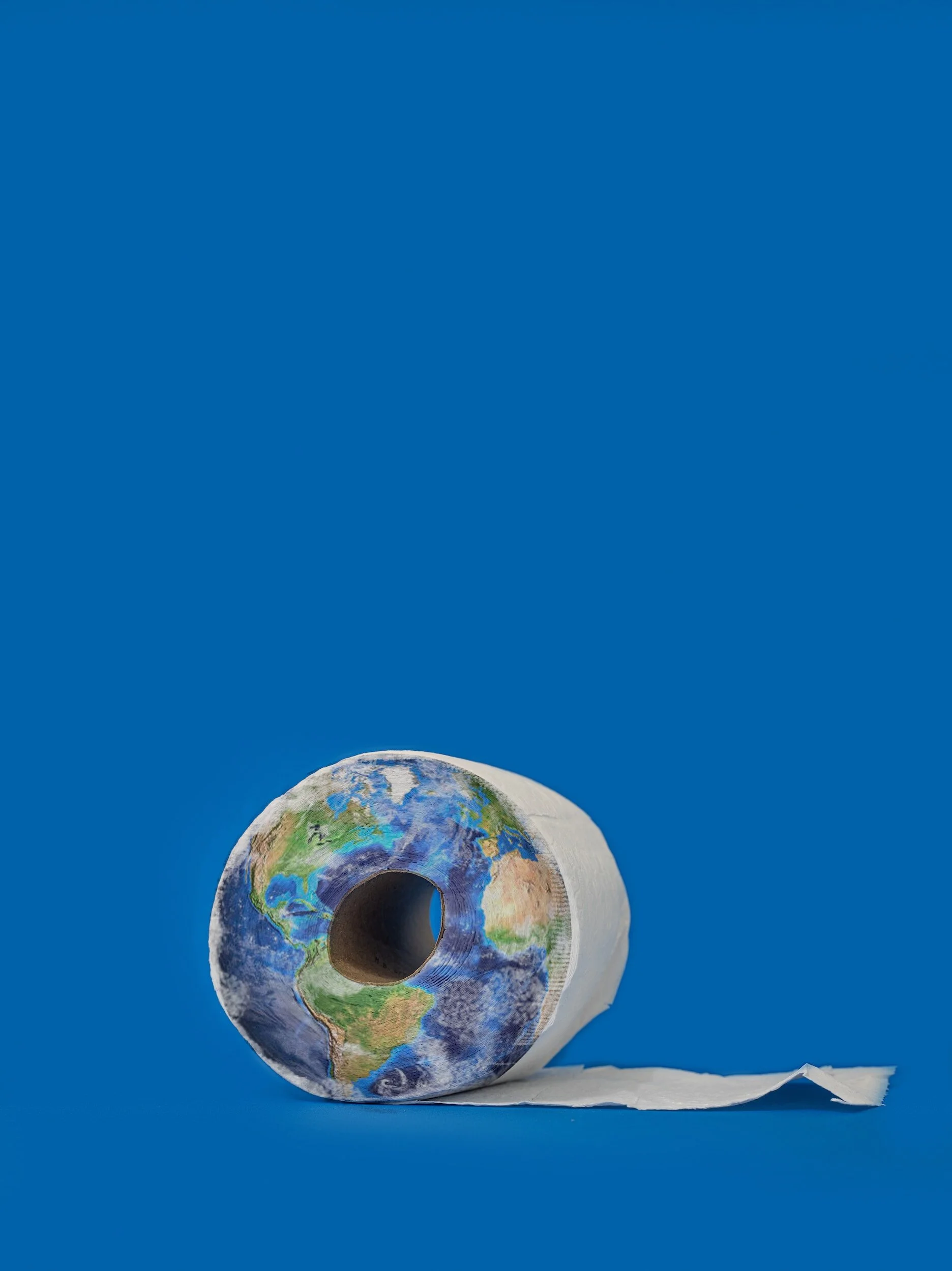 Comparing the Environmental Impact of Different Toilet Paper Materials