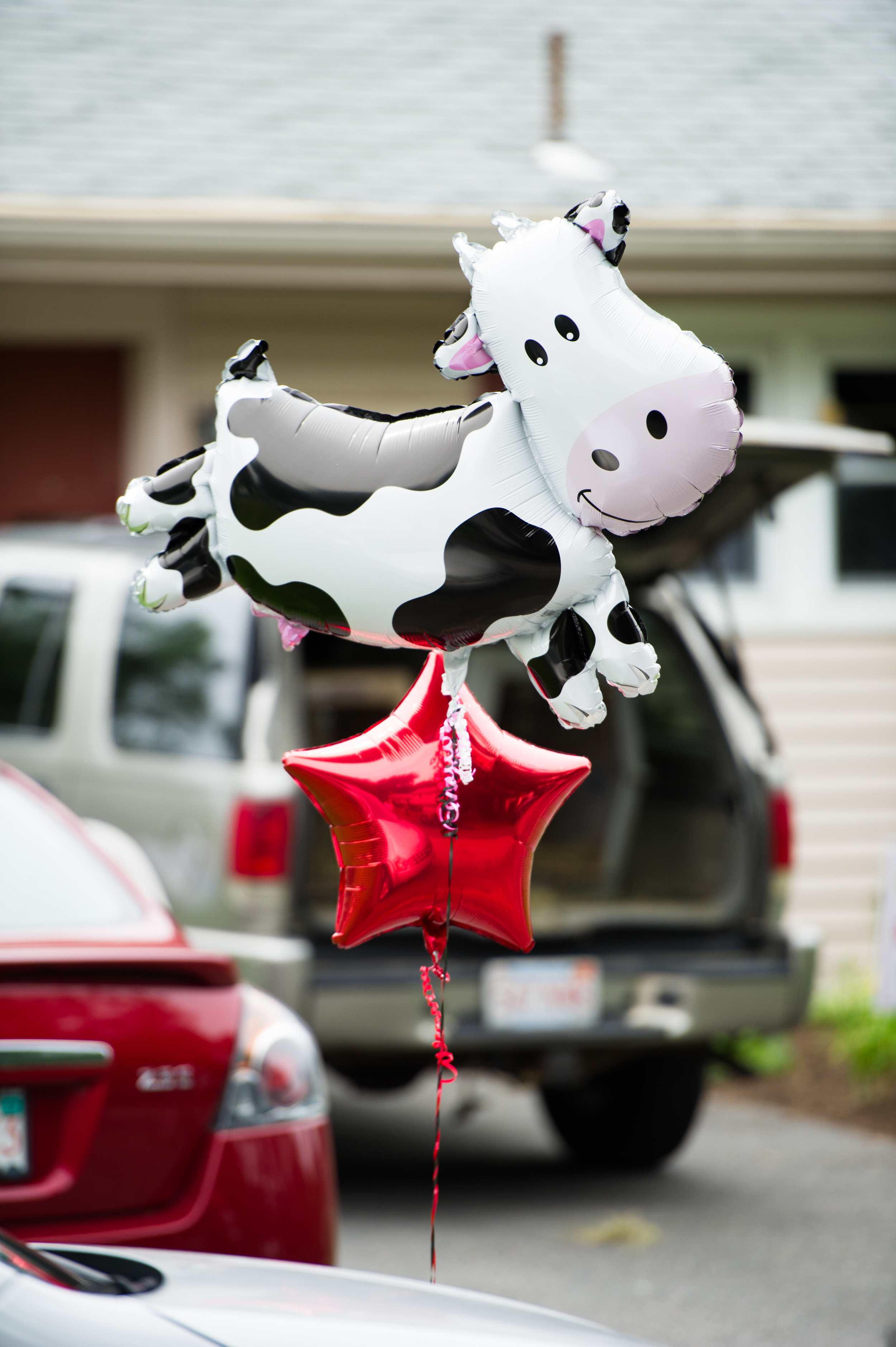 Find balloons? Find the party.