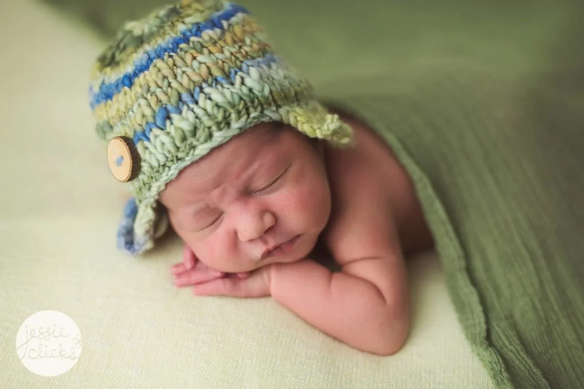 Phoenix Rises from the Ashes