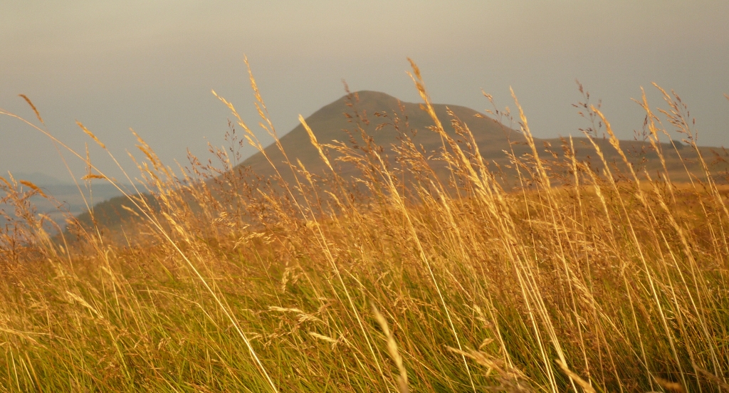 East Lomond.jpg