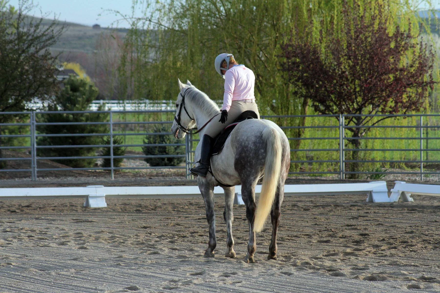 No worries more work will be done on the tail before the next show.