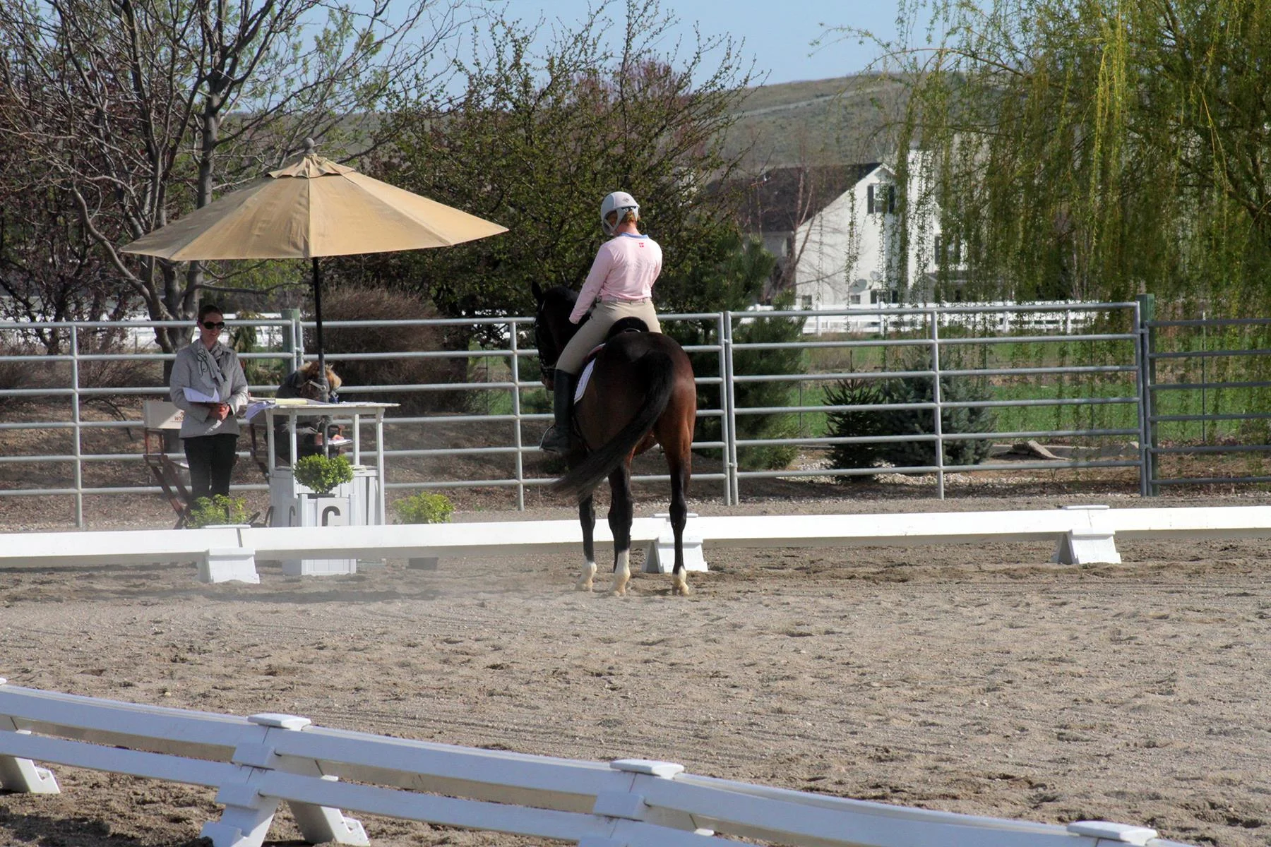 The judge has red hair too #redheadsunite