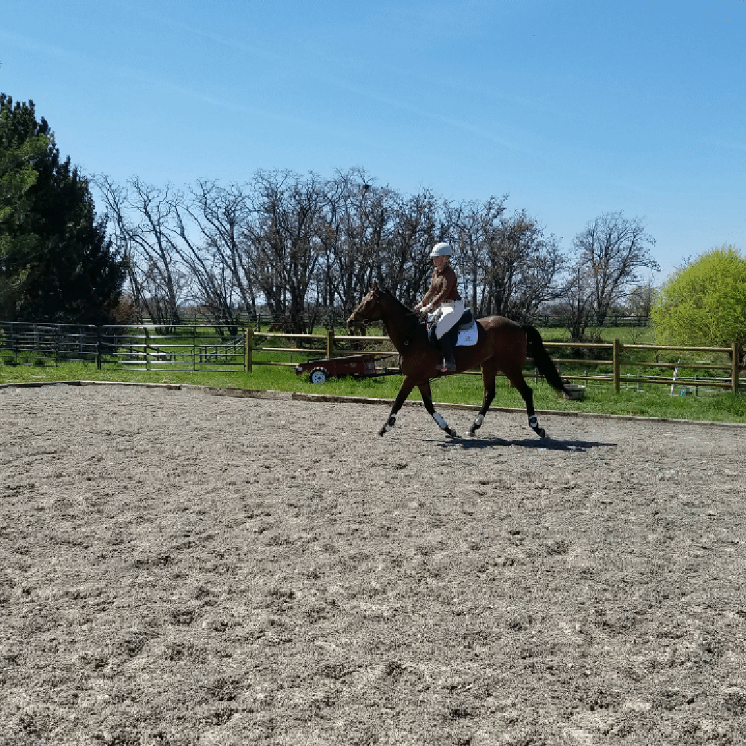 that trot