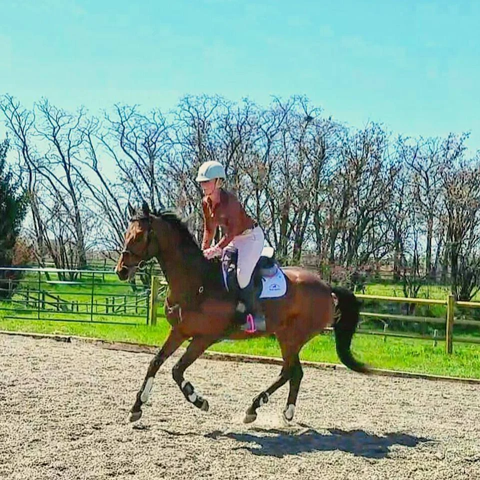 Can I just canter him all day?