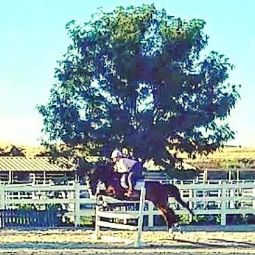 Don't mind us, just flying