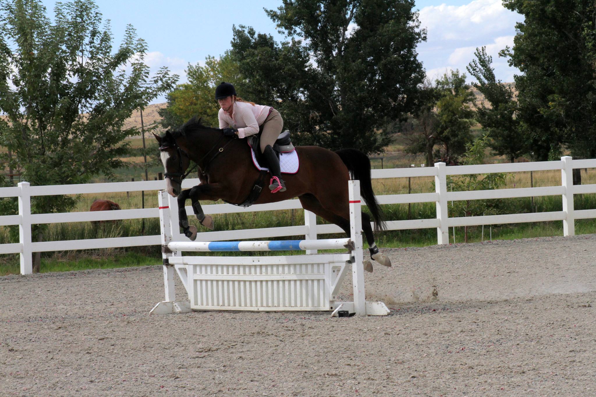 Prisoner jumping the jumps at a horse show! PC: Alyssa