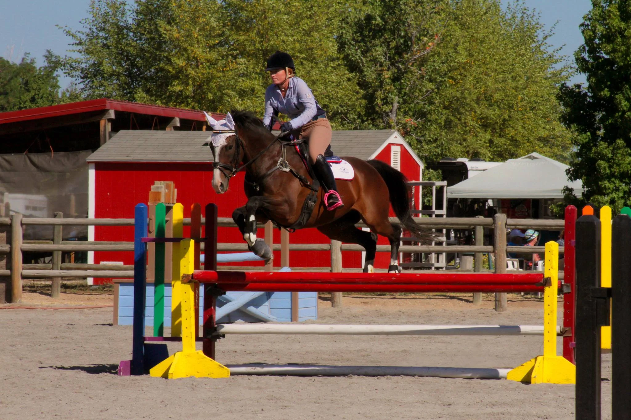 Prisoner jumping the jumps at another horse show PC: Alyssa