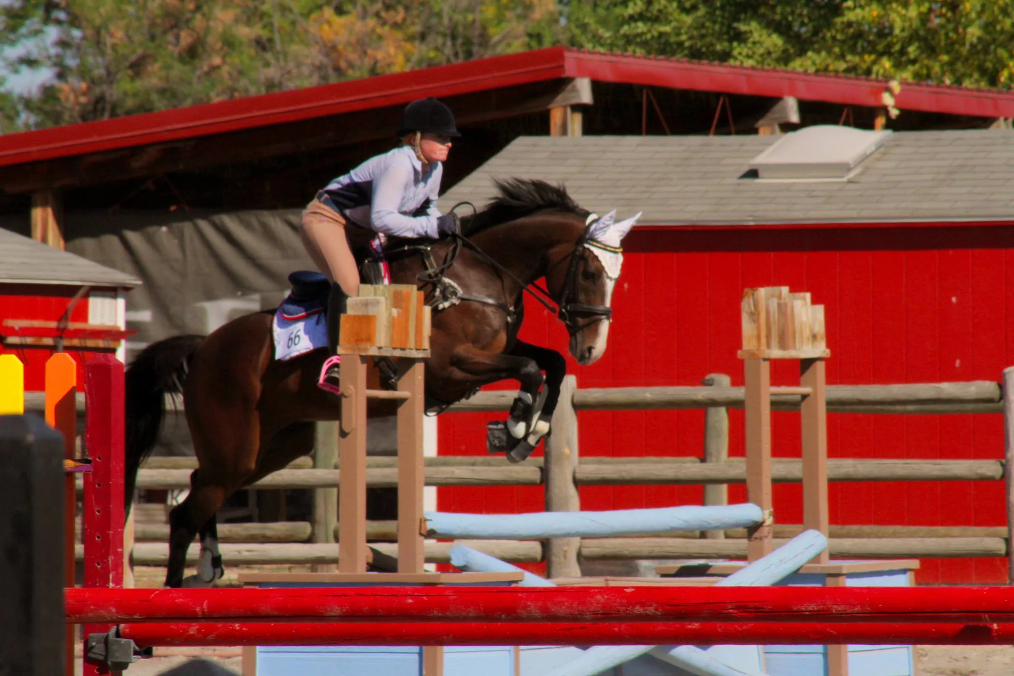 Hard to see here, but the base of that jump is like a legit 2'3" cross country jump