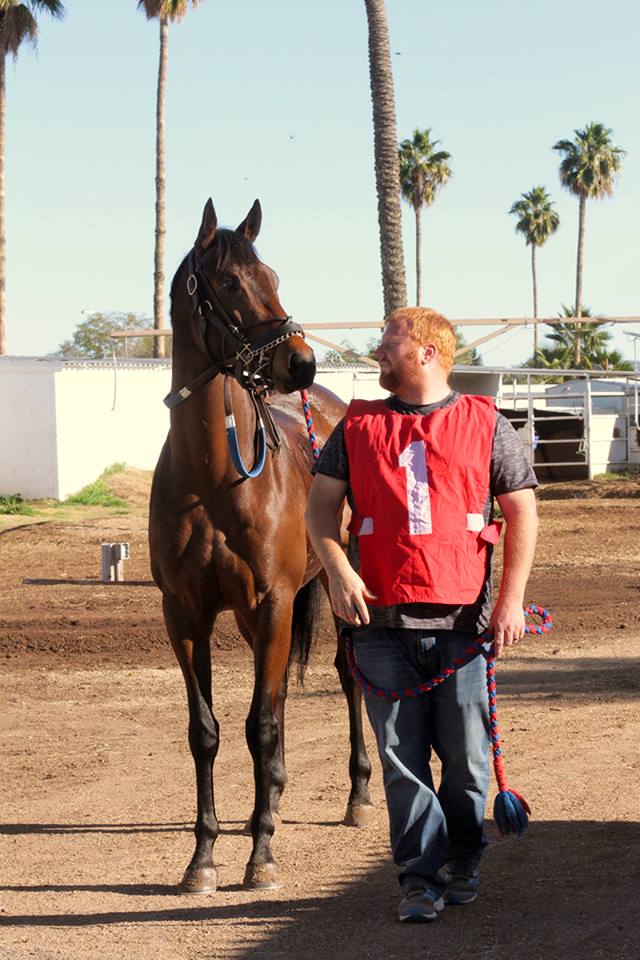 Horses, the only competition for Hubby's heart that I have to worry about