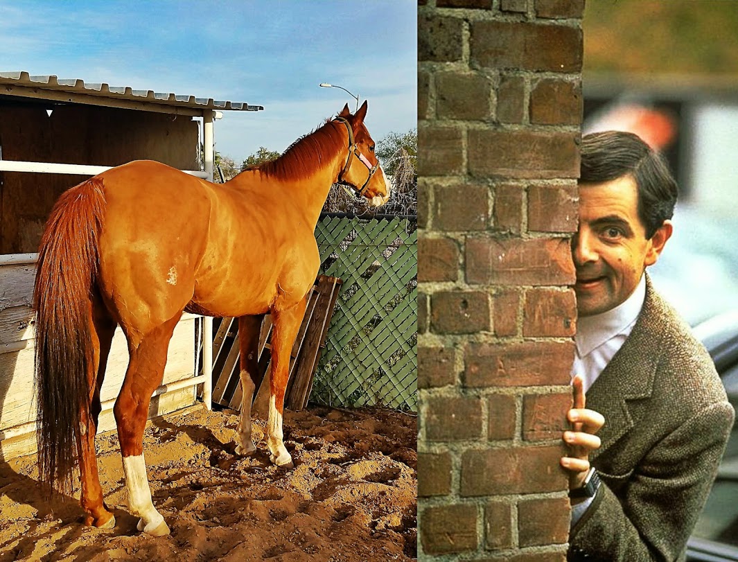 Is that redheadlins or Mr. Bean?