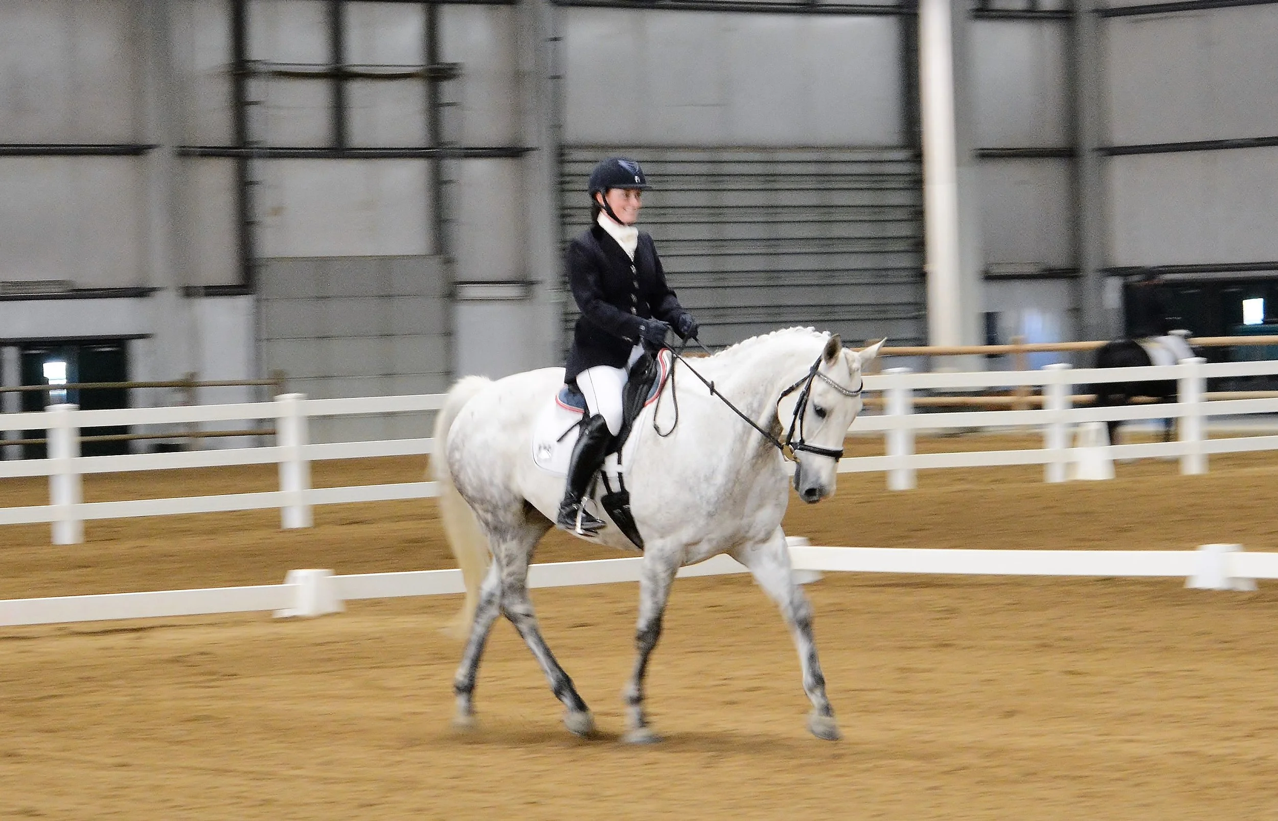 Was very fun to get back to Idaho and into the show ring 6 weeks later with Tudor!