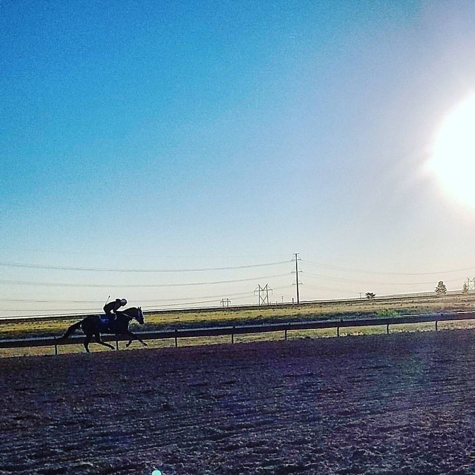 The angle of the morning sun on the track there makes for good sillouettes but not much else