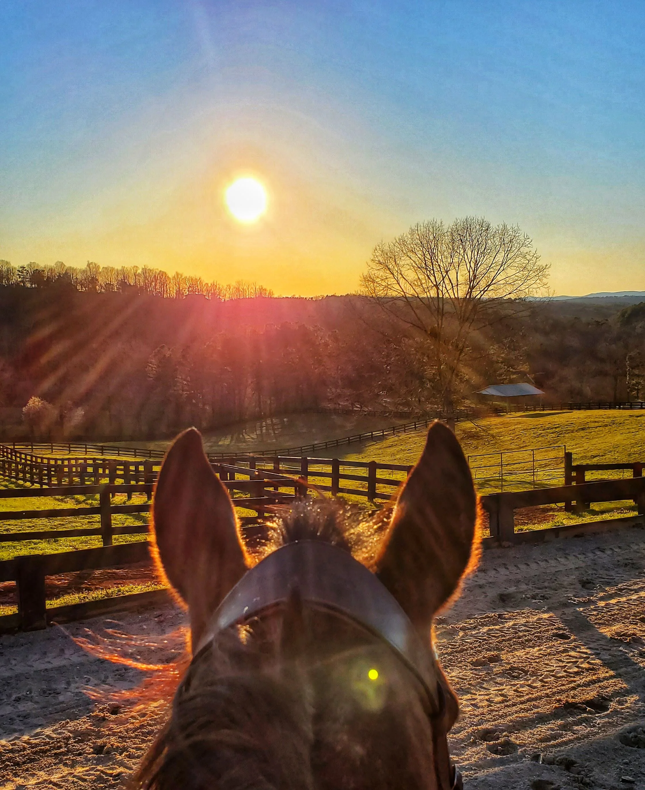 Dreaming in a rare moment of sun'.