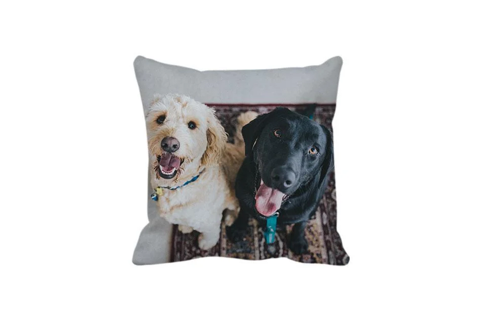 cute-pet-photo-pillow.jpg