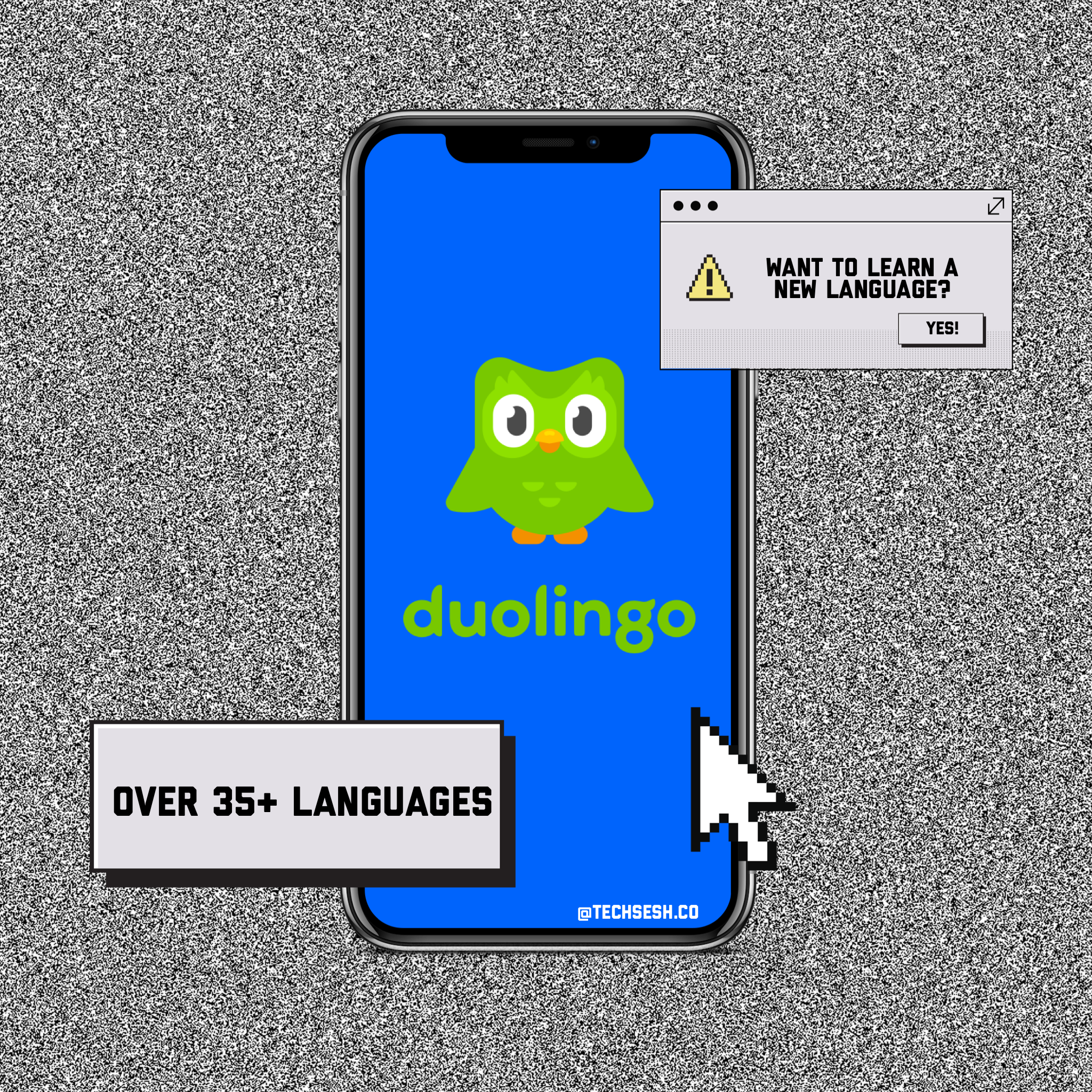 Learn any language with Duolingo 