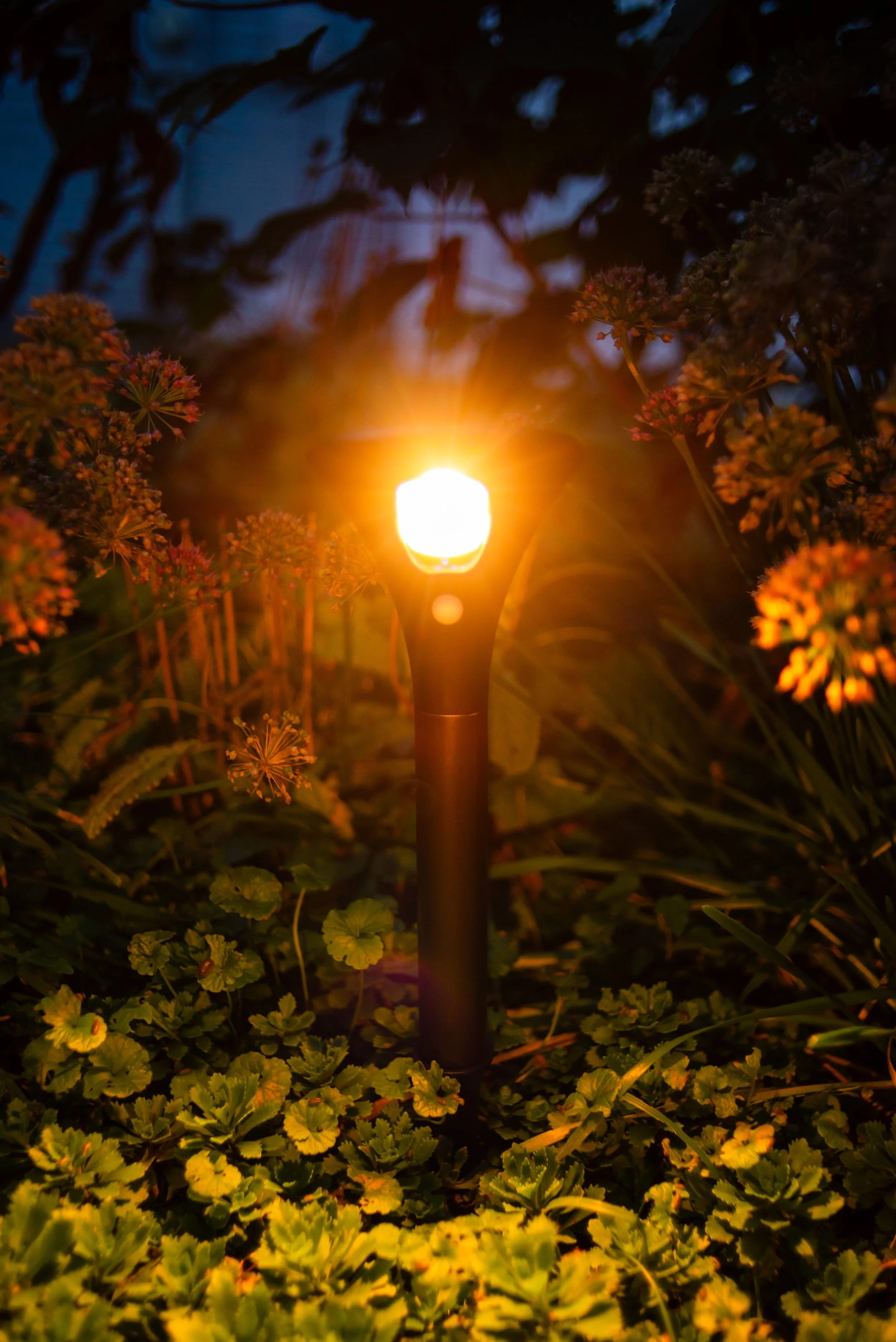 Earth Day Tech Finds That Actually Make Going Green Feel Easy