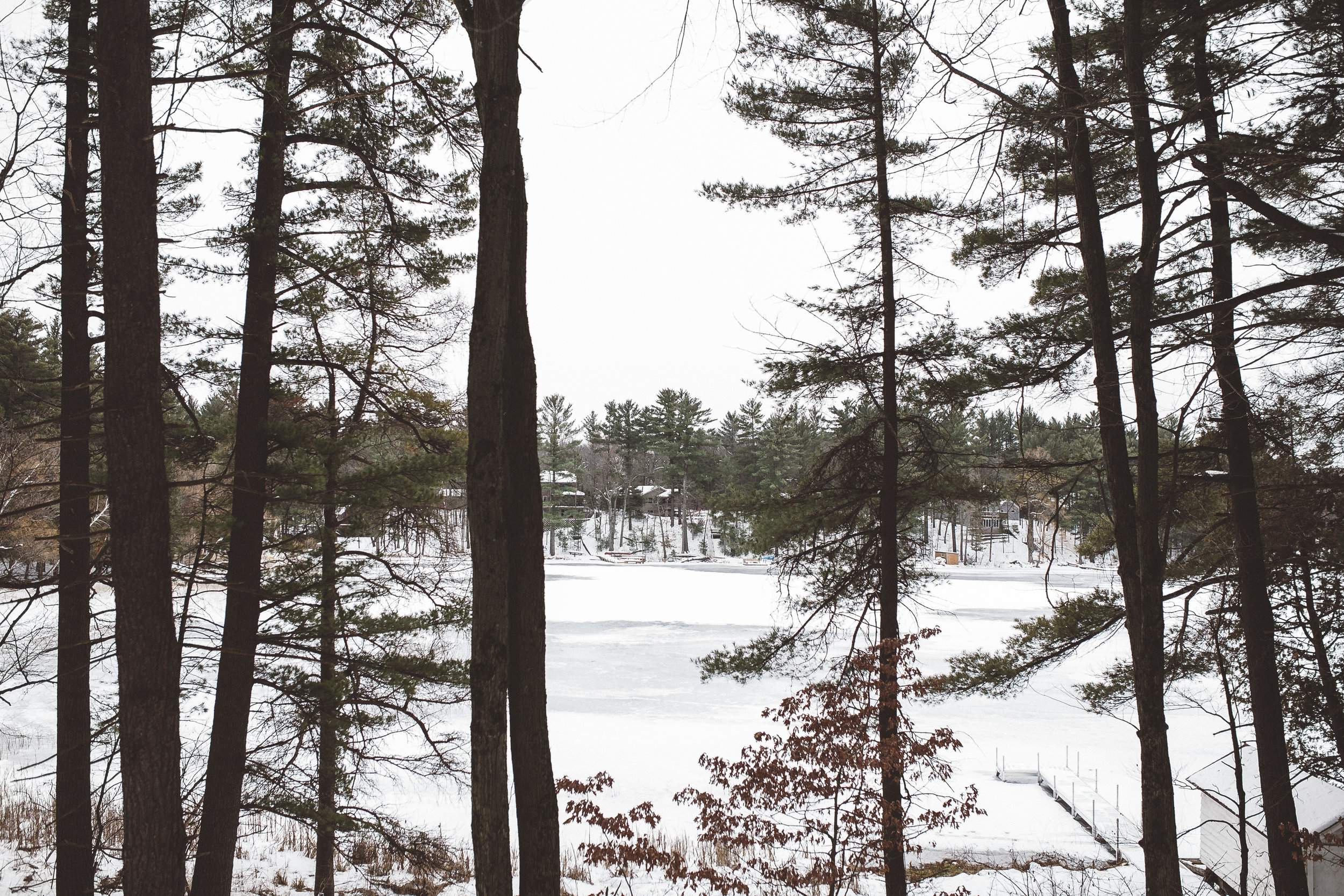 Whispering Pines 1.jpg