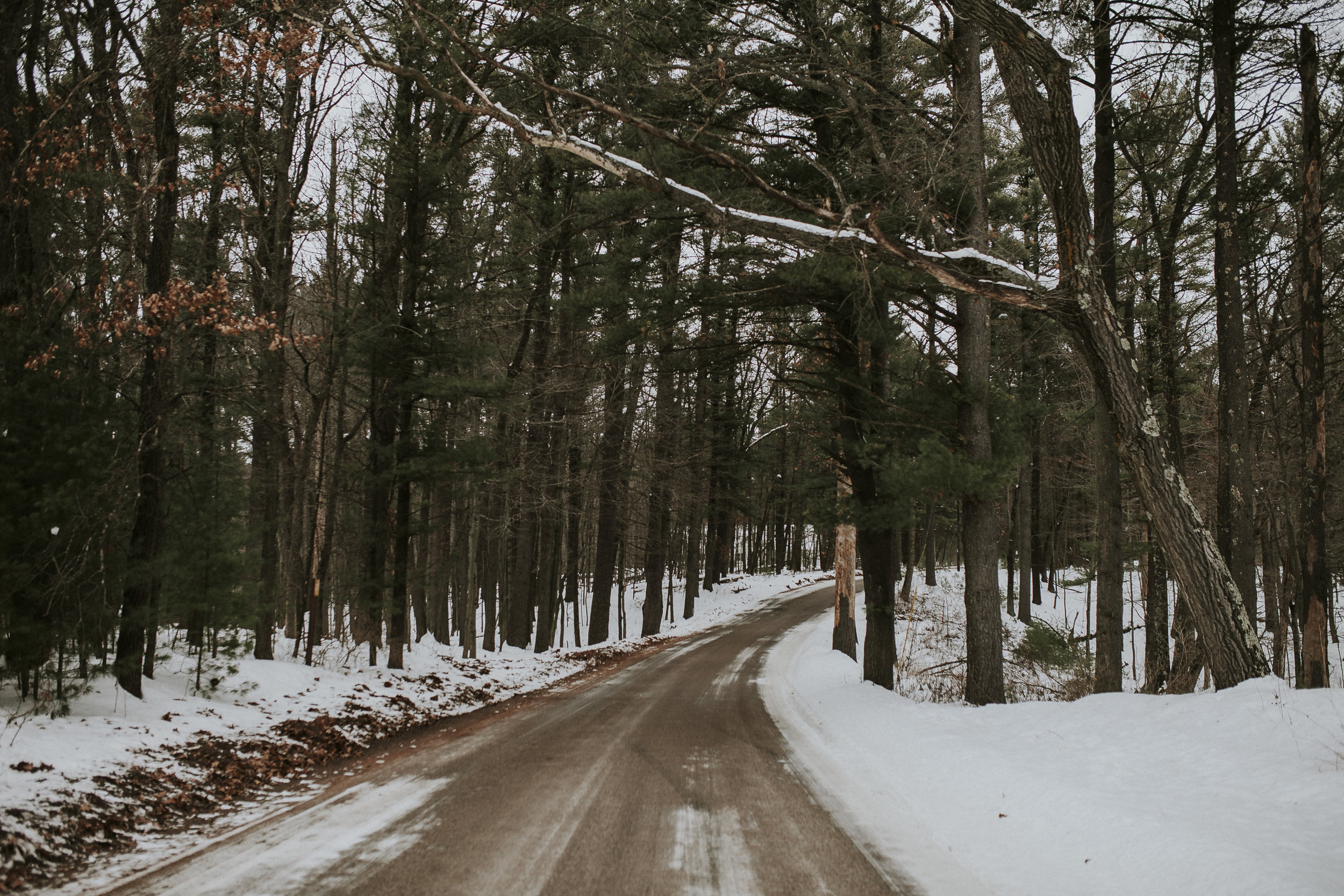Whispering Pines Road.jpg
