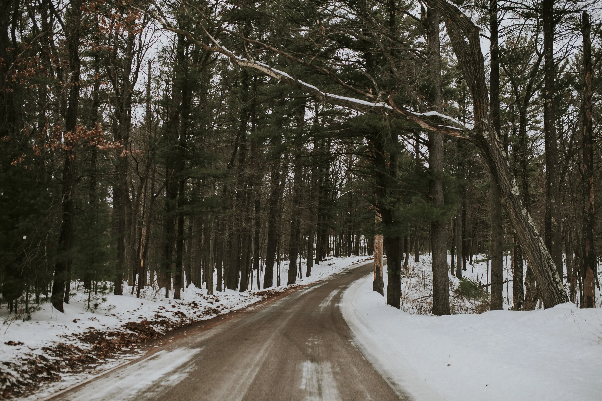 Whispering Pines Road.jpg