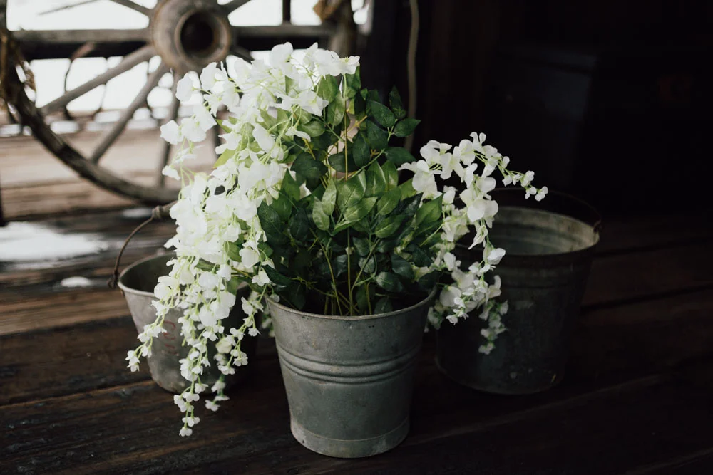 Melissa-Spilman-Photography.jpg