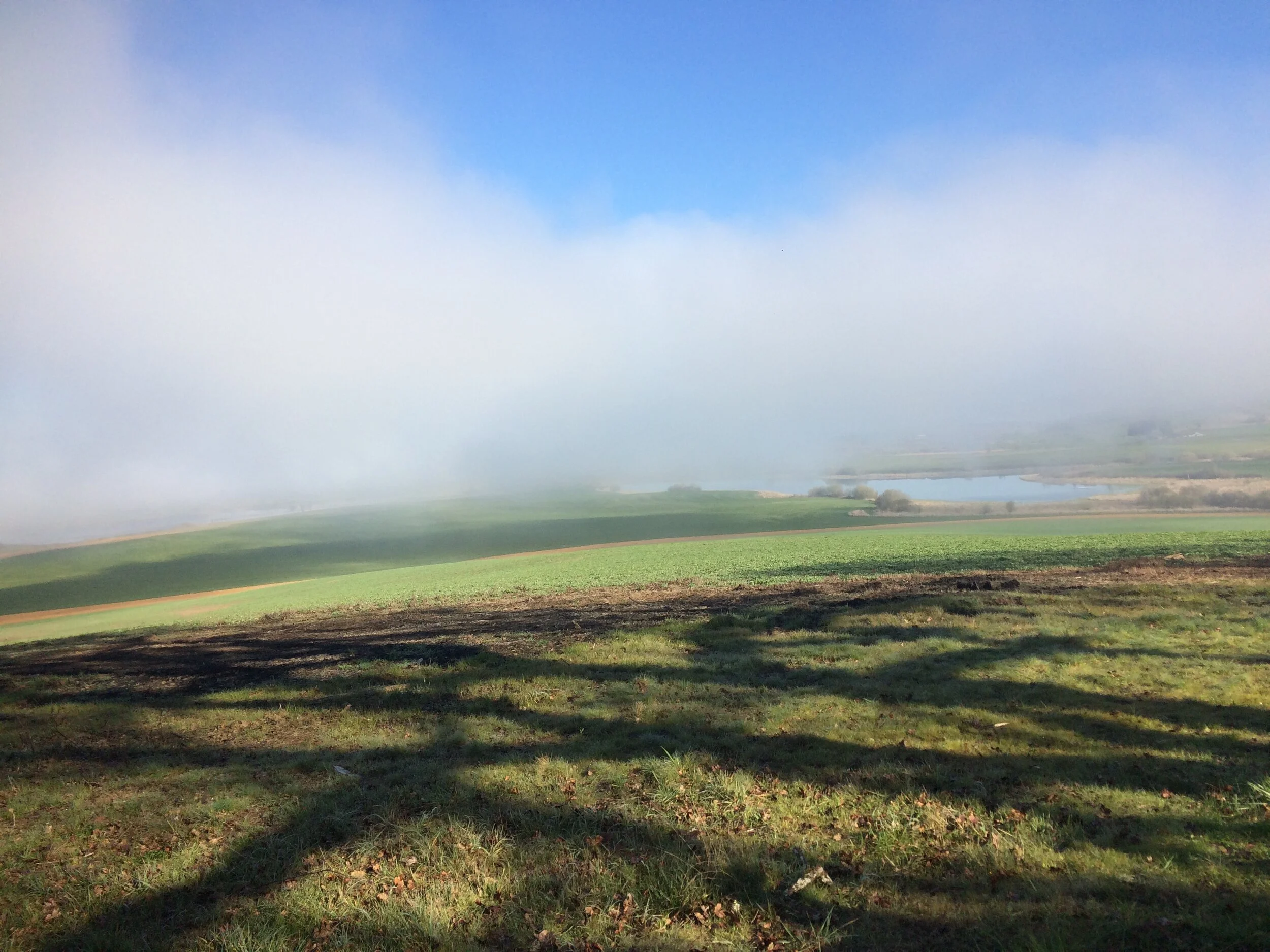 basket slough 2020.JPG